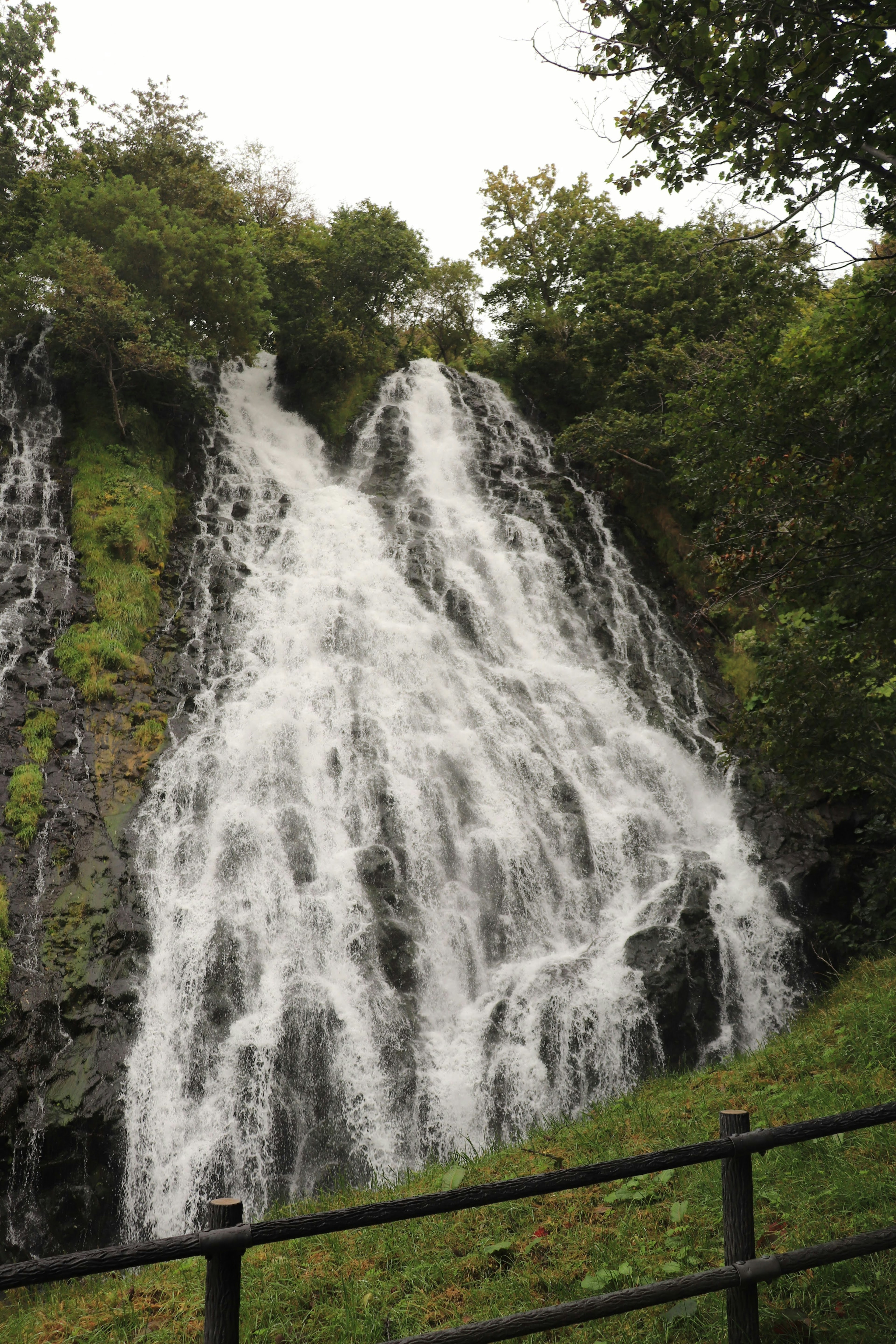 Una cascata che scorre giù da una scogliera rocciosa circondata da vegetazione lussureggiante