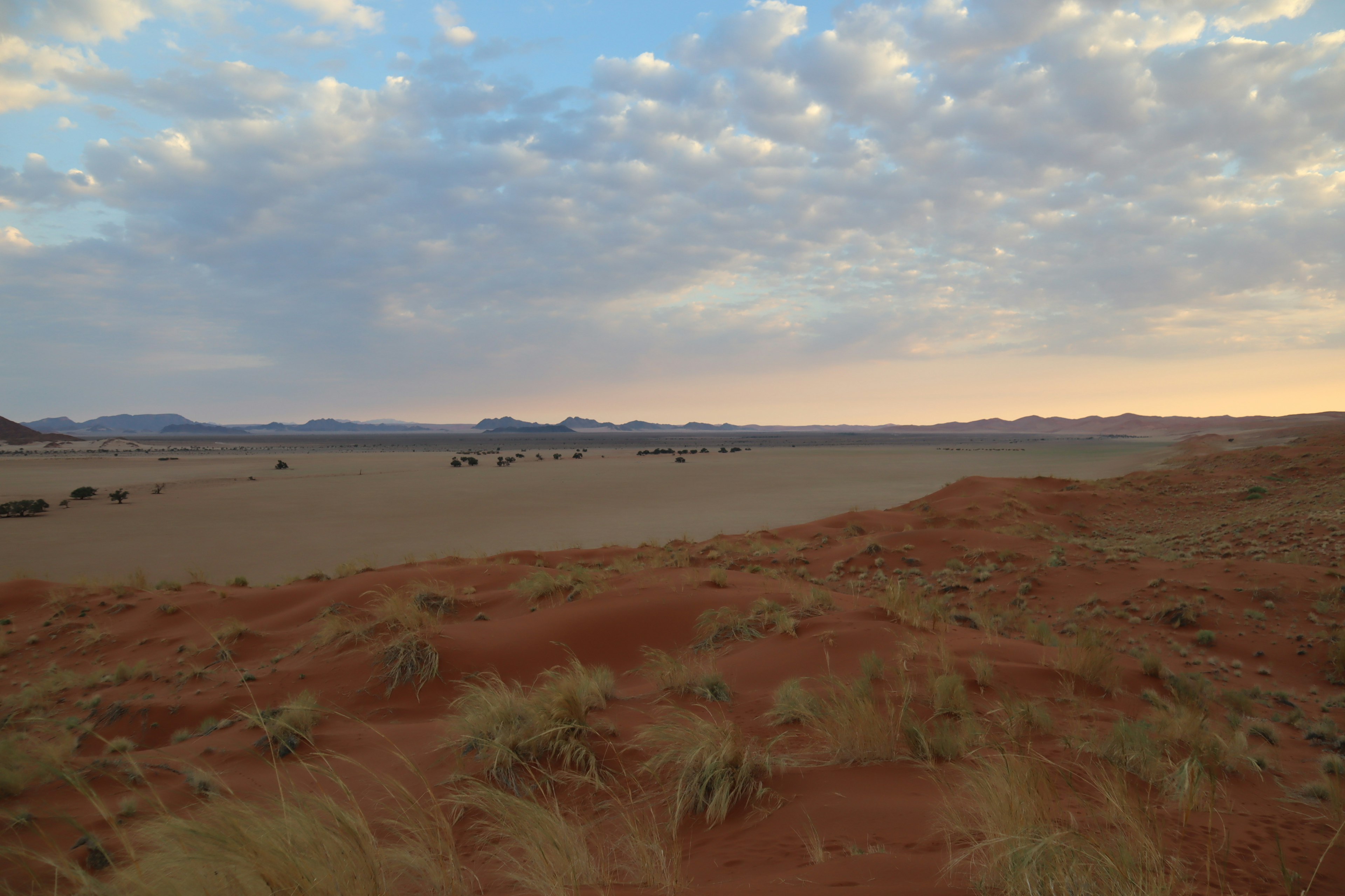 Ampio paesaggio desertico con dune di sabbia rossa e cielo blu