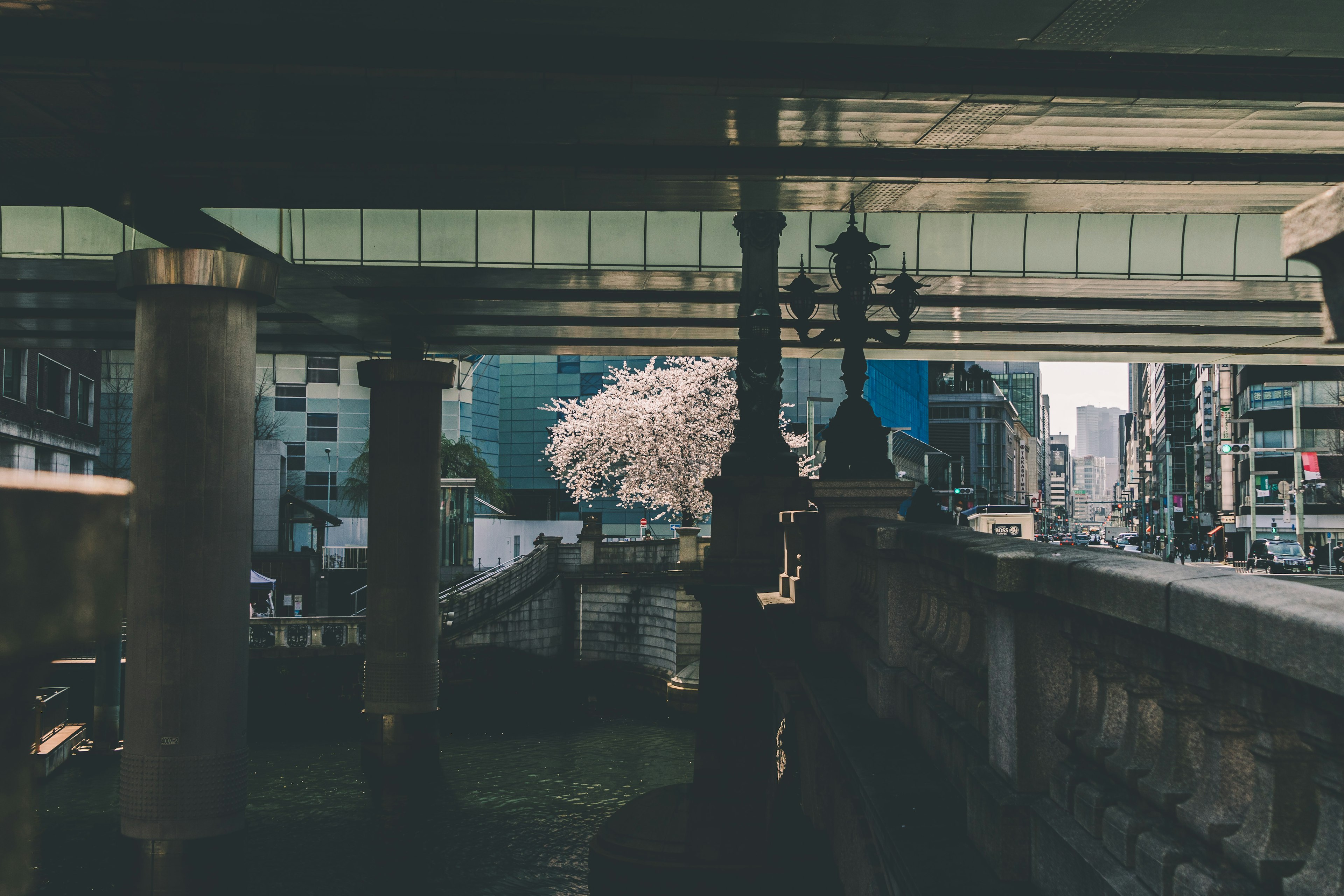 Pemandangan di bawah jembatan dengan pohon sakura lampu unik dan pilar