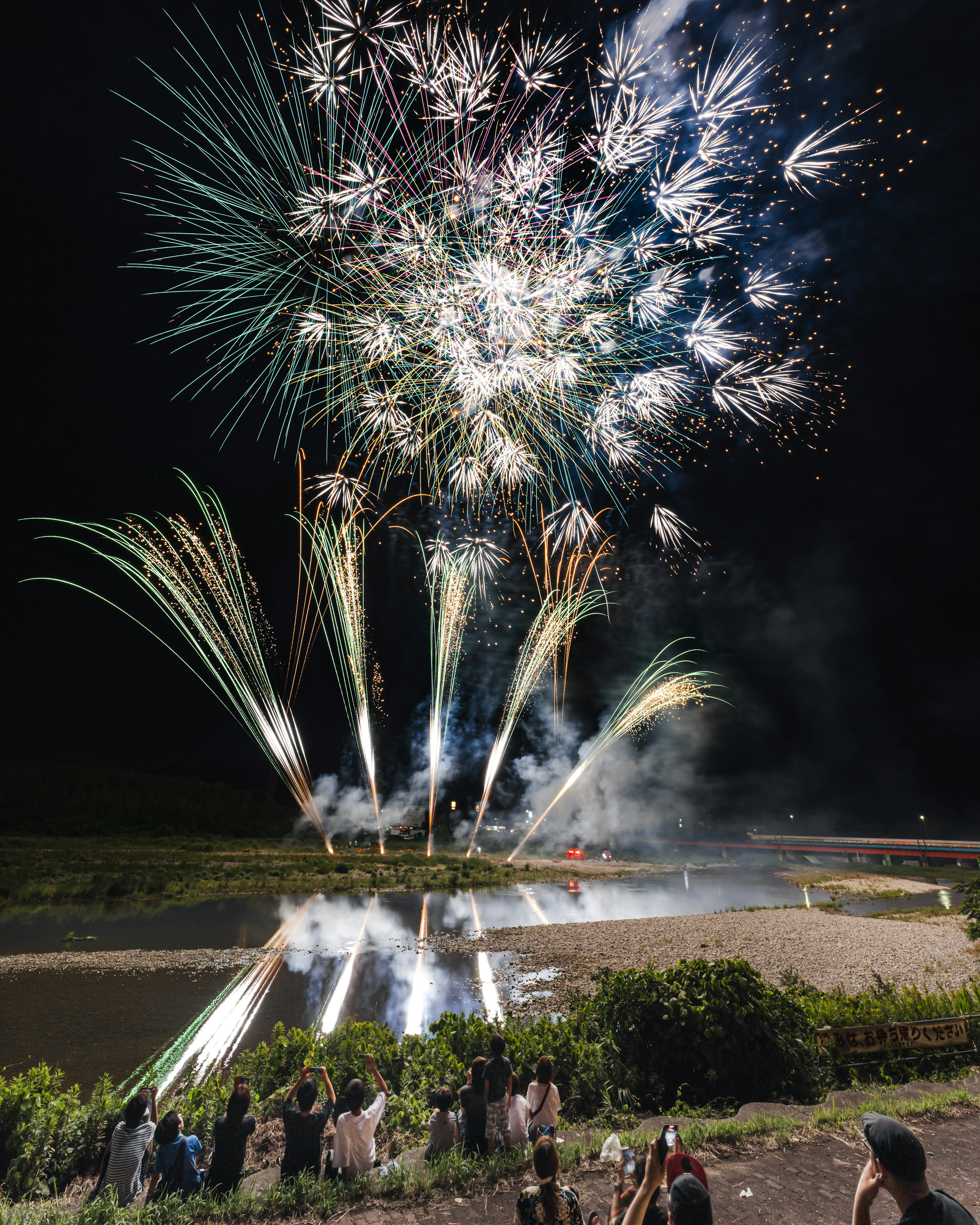 Fuegos artificiales coloridos estallando en el cielo nocturno con siluetas de espectadores