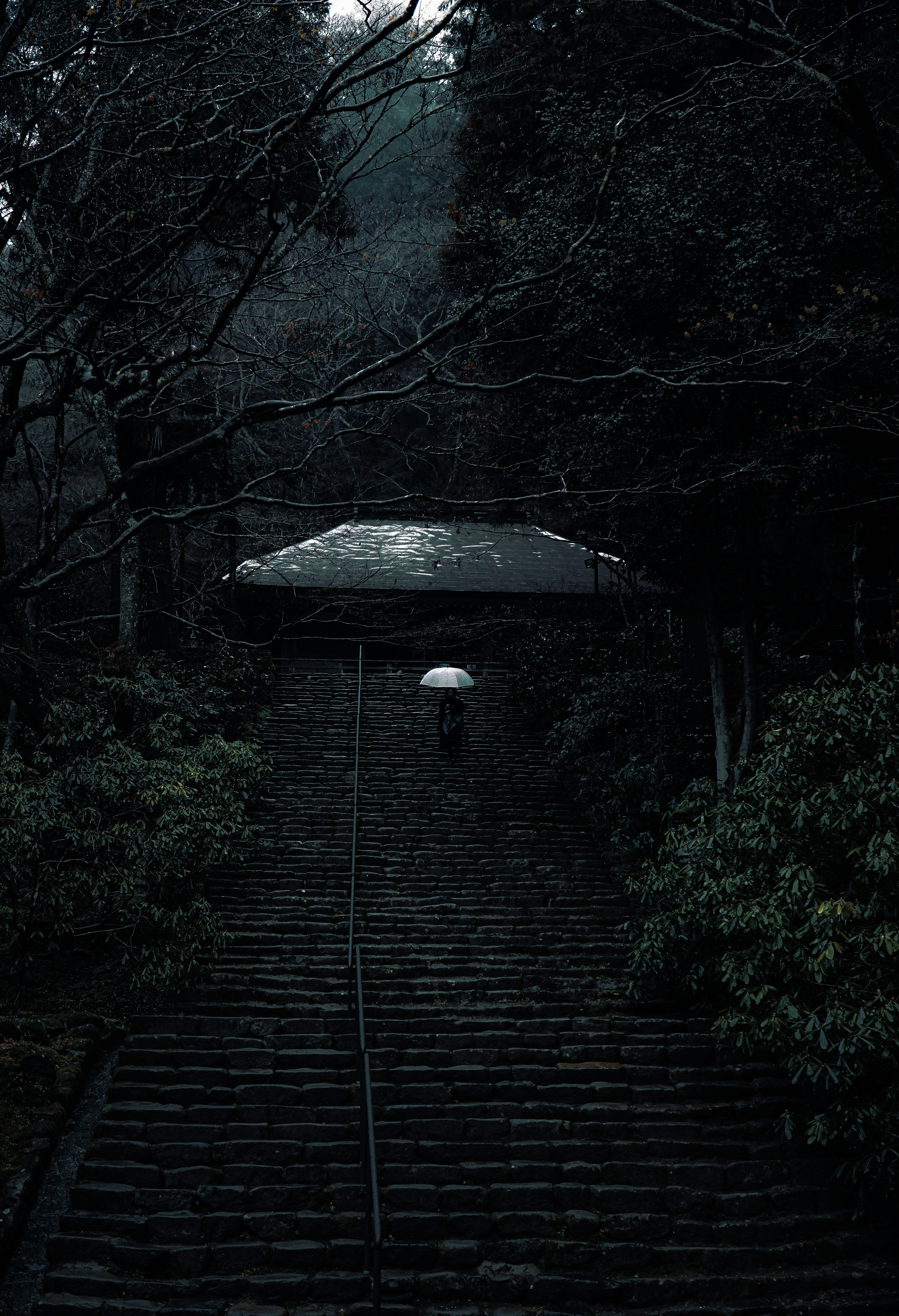 Silhouette of a person with an umbrella on stone steps in a dark forest