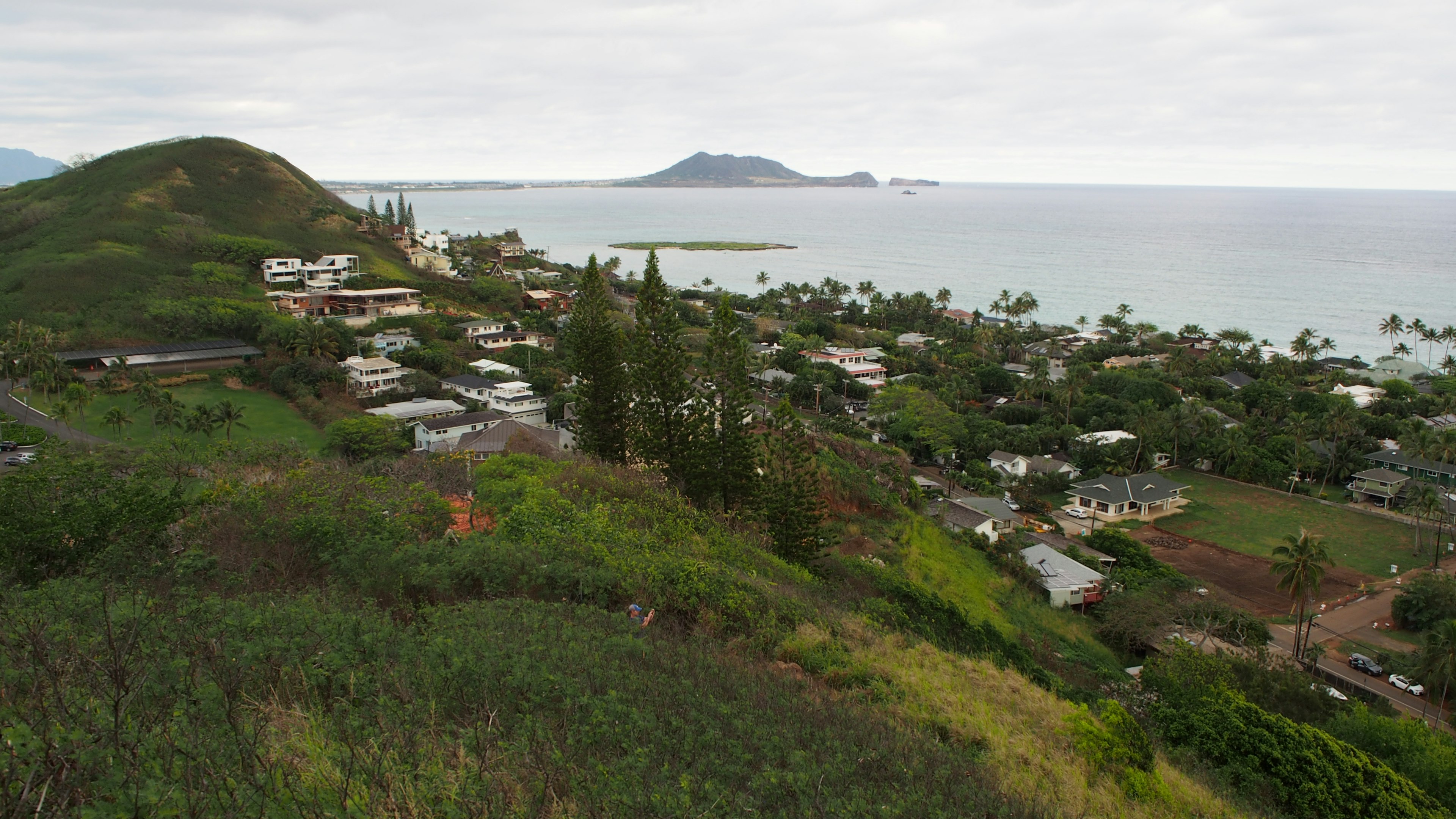 Vue pittoresque d'une colline verdoyante surplombant l'océan avec des maisons et des arbres éparpillés