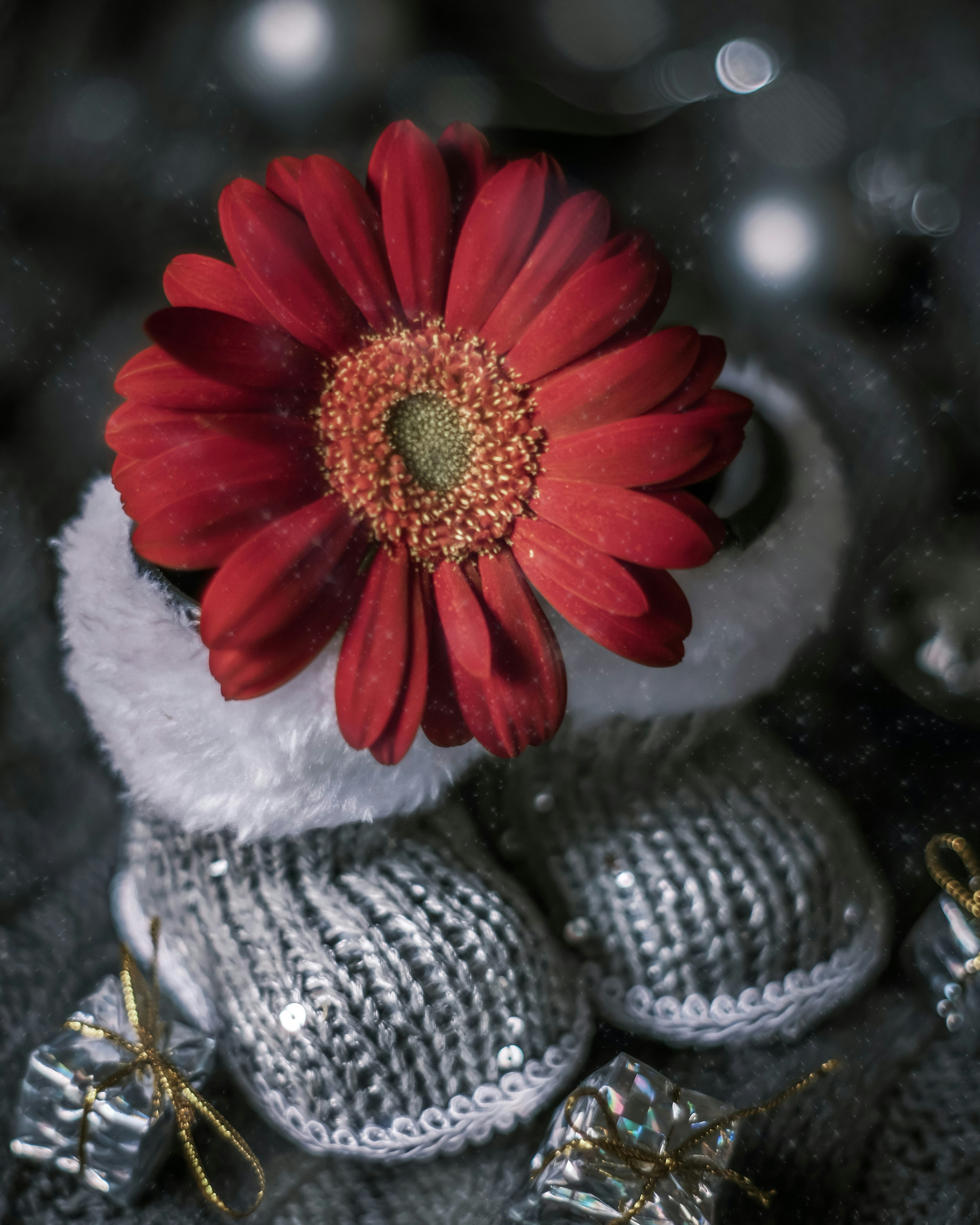 Bottines en argent ornées d'une fleur rouge sur un fond festif