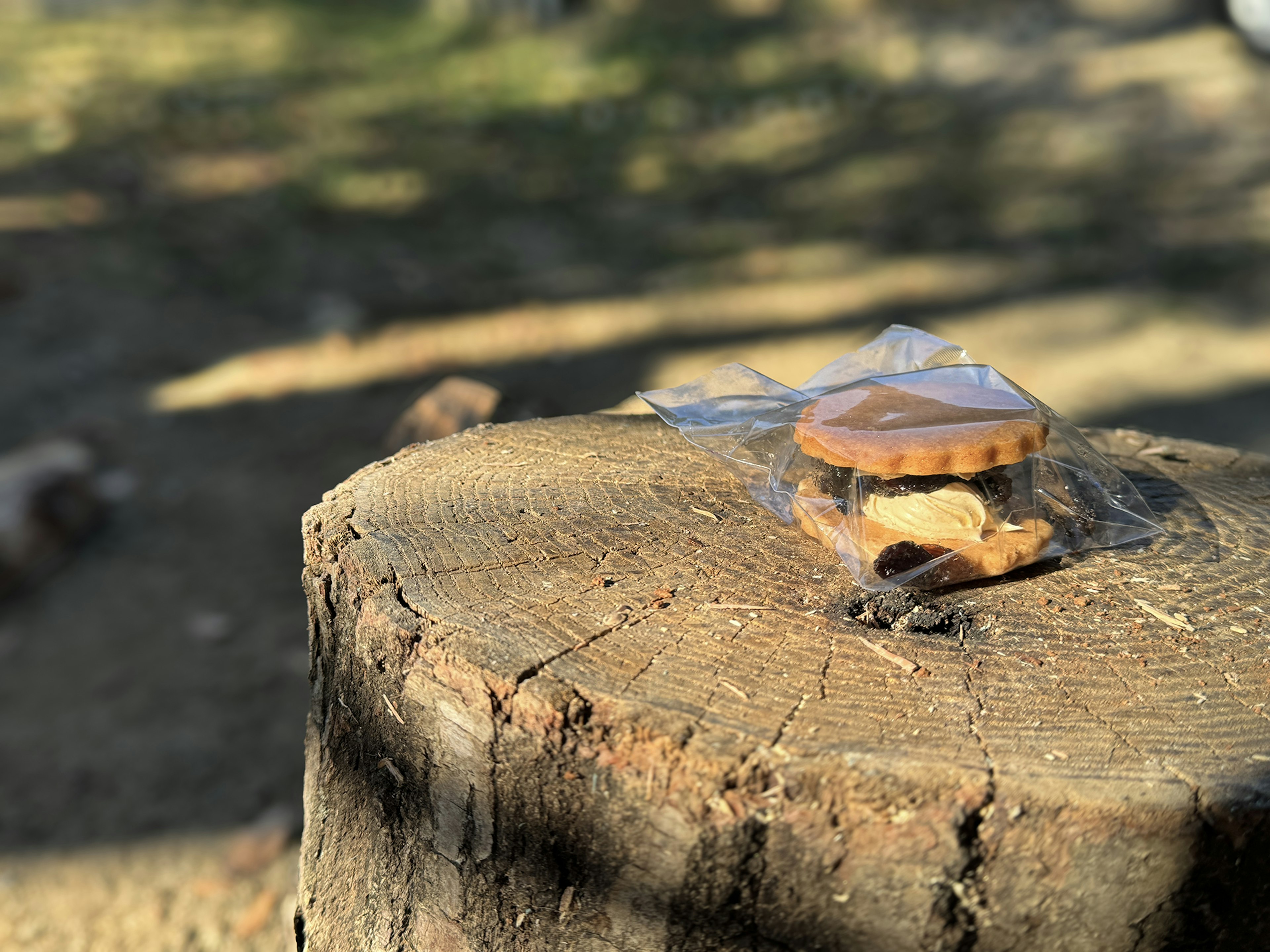 Un biscuit emballé dans du plastique reposant sur une souche d'arbre