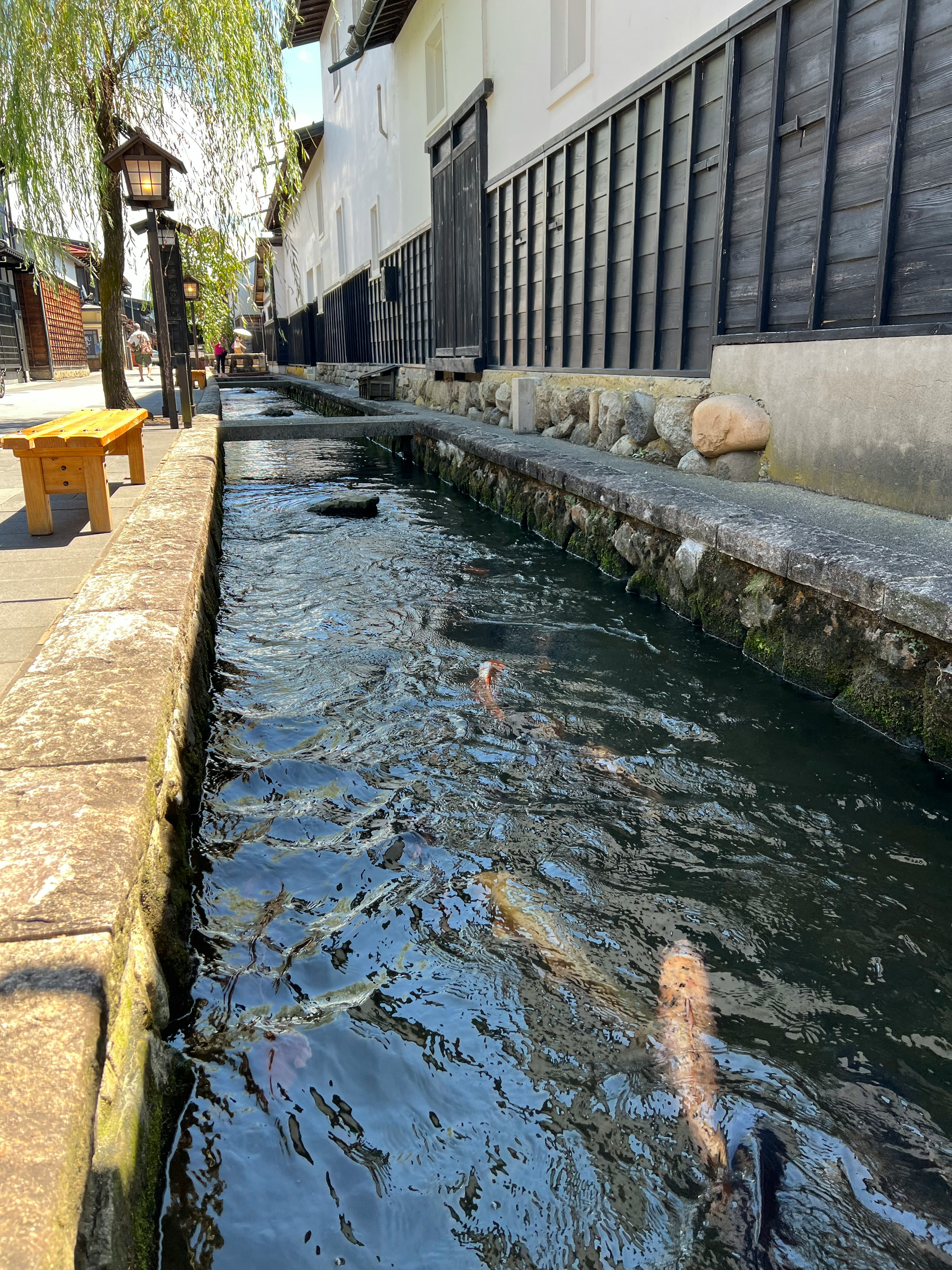 Un canal tranquilo con peces nadando y edificios tradicionales a lo largo de las orillas