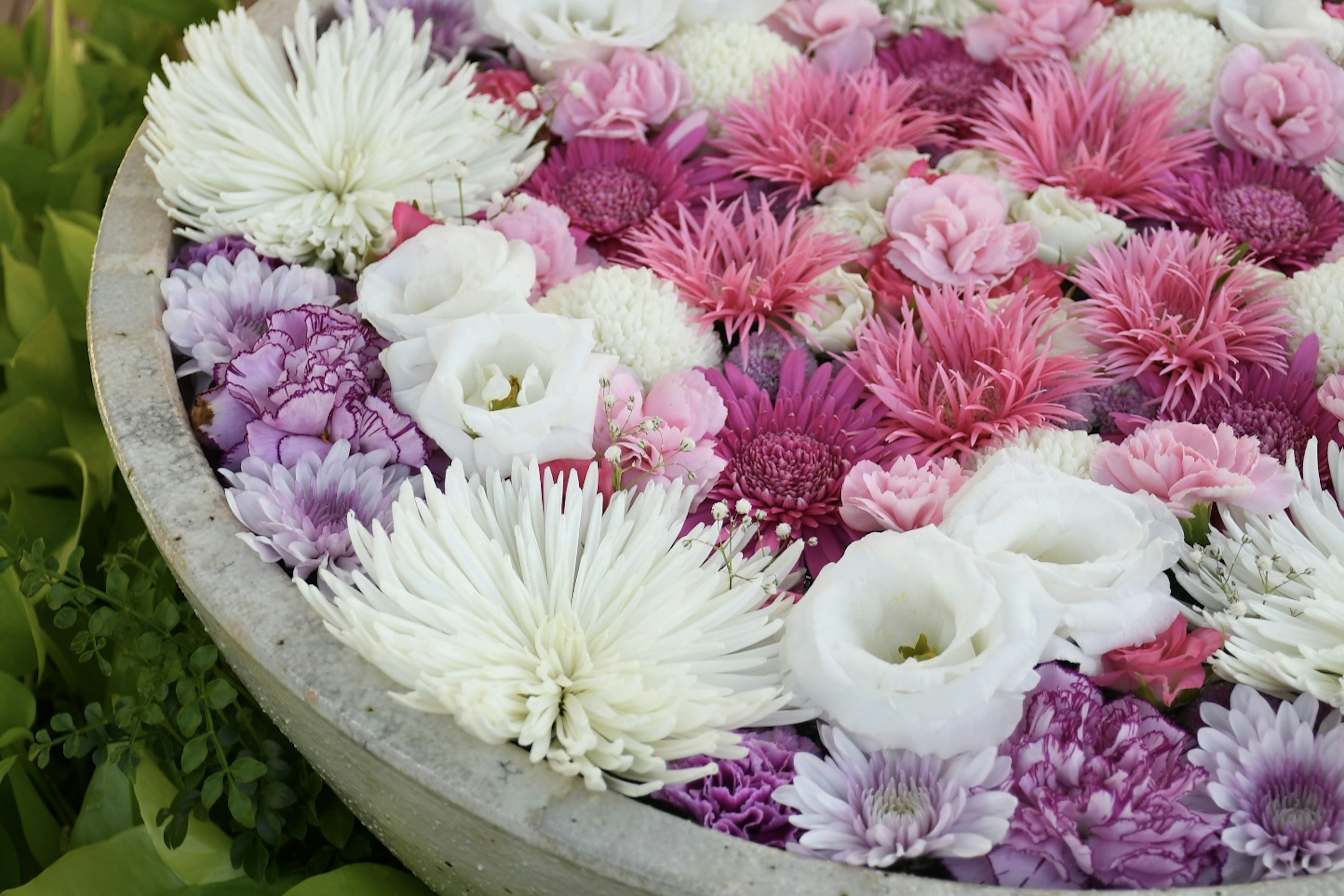 Gros plan d'un bol en béton rempli de diverses fleurs roses et blanches