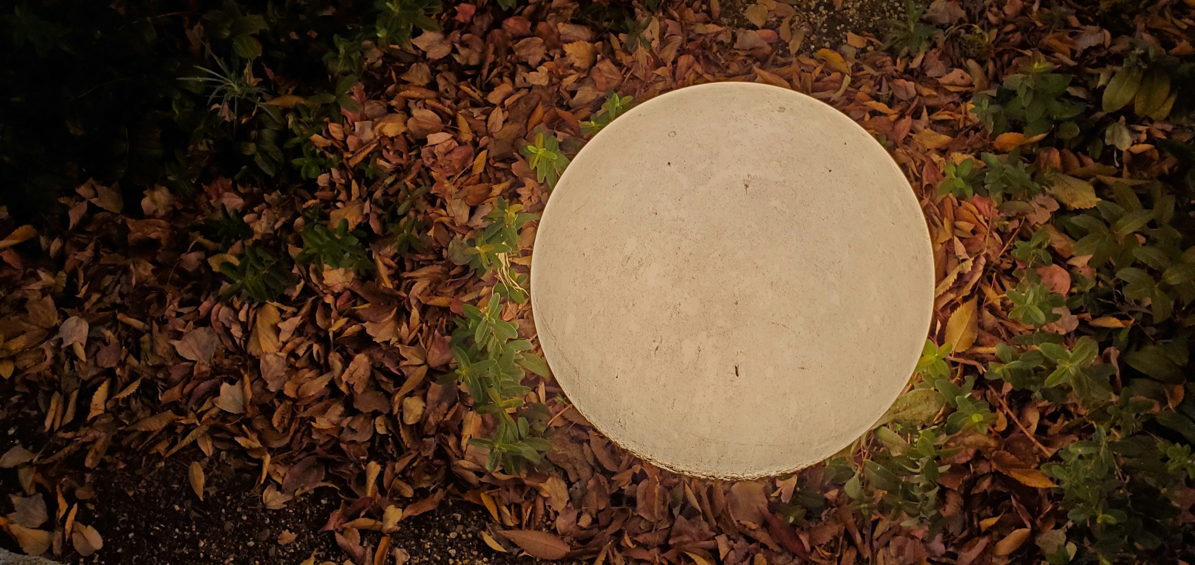 Mesa de piedra circular rodeada de hojas de otoño