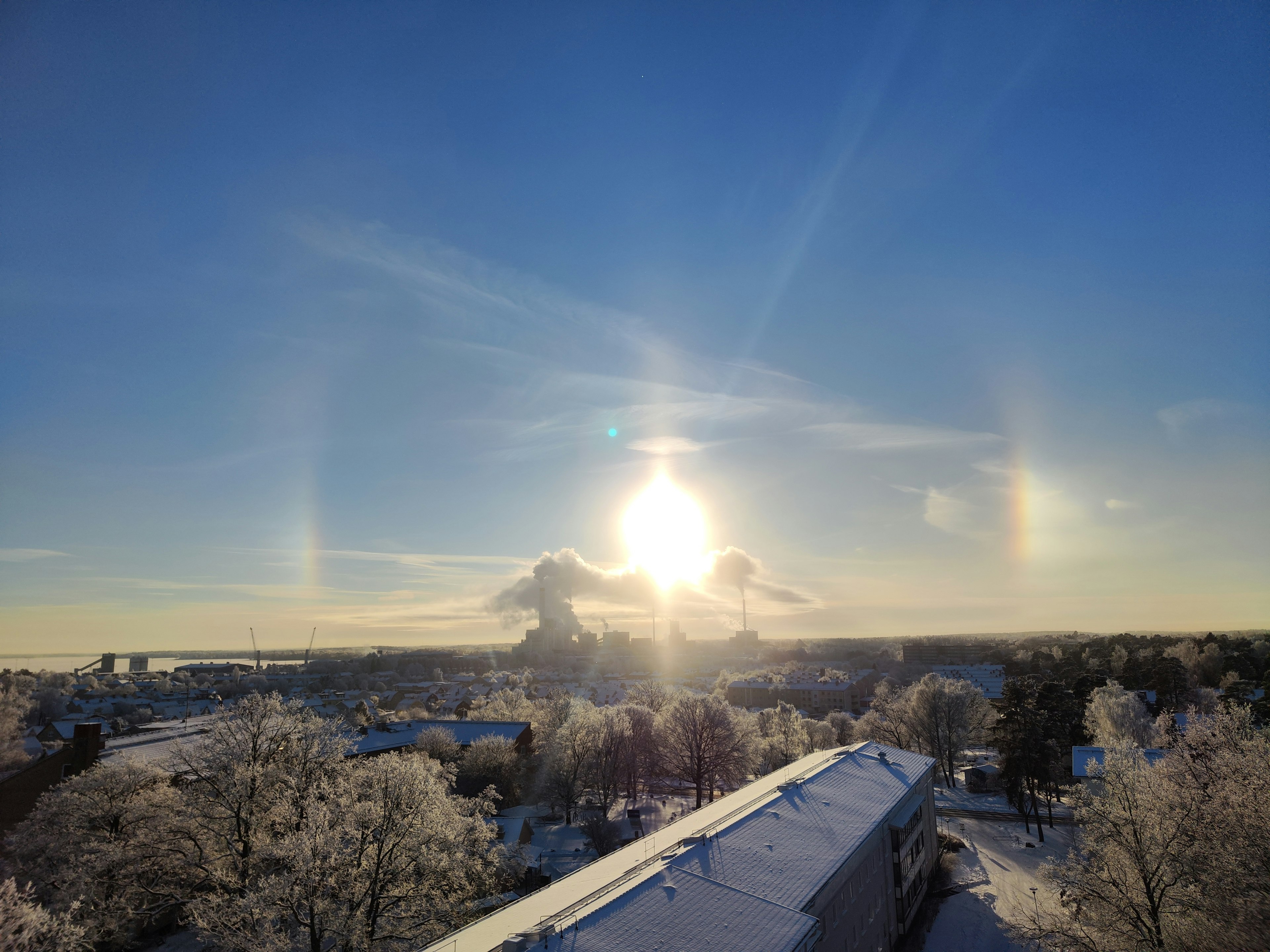 Día soleado con sol y árboles helados con halos de luz