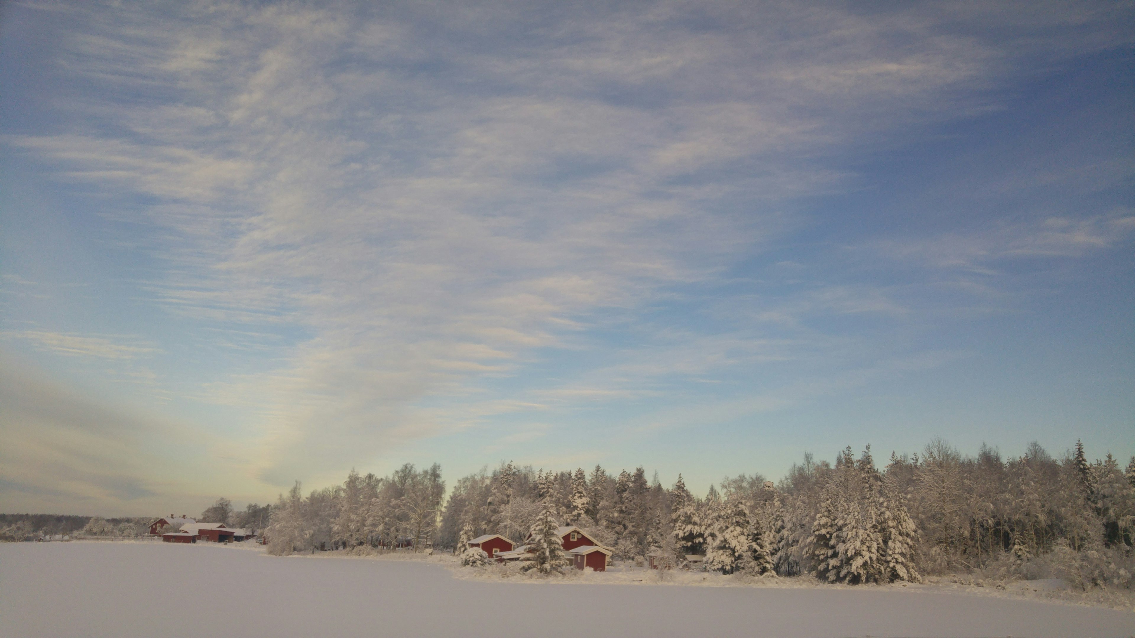 Paysage enneigé avec des arbres et un ciel bleu rempli de nuages