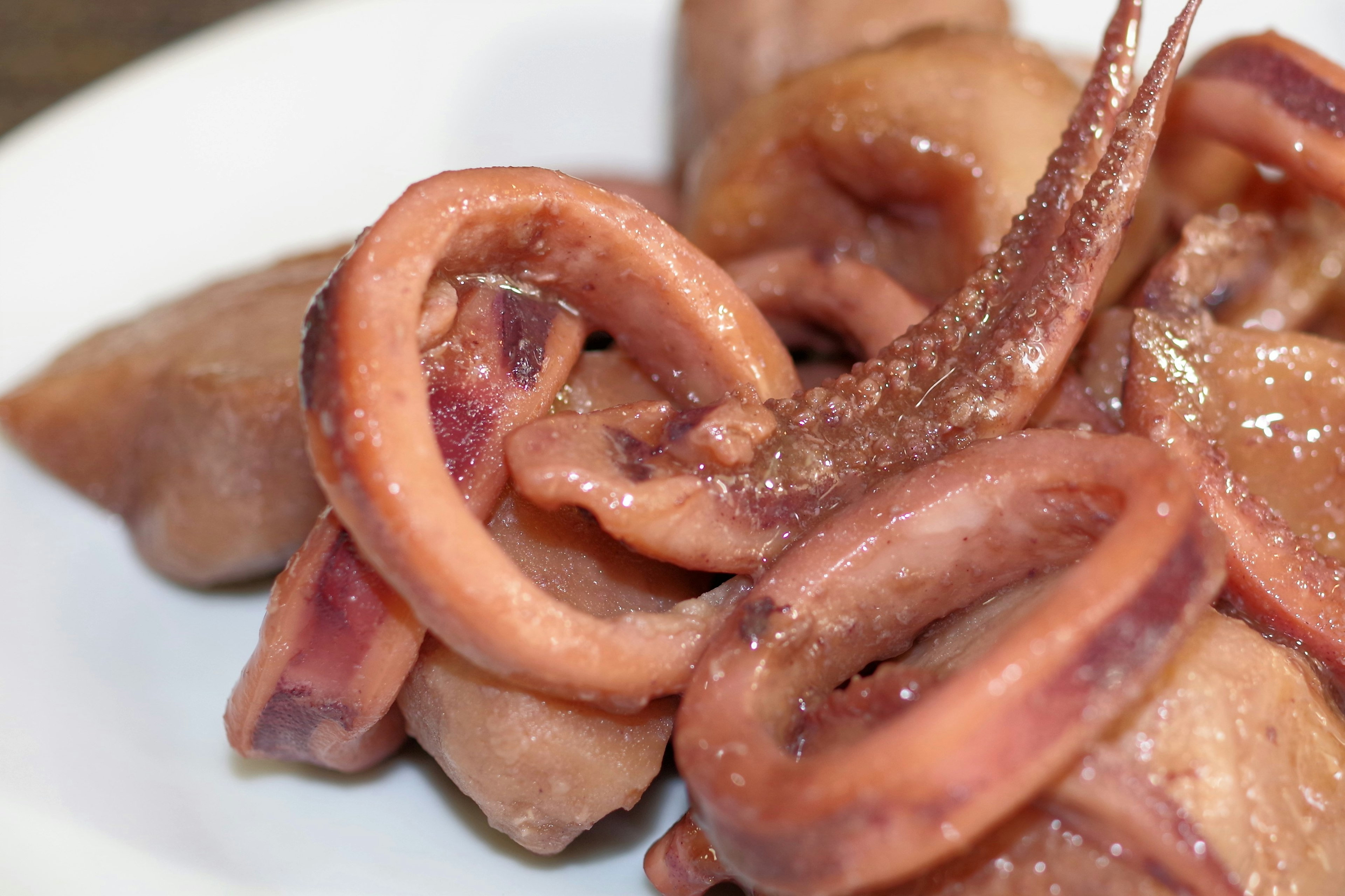 Primer plano de un plato de calamares frescos servido en un plato