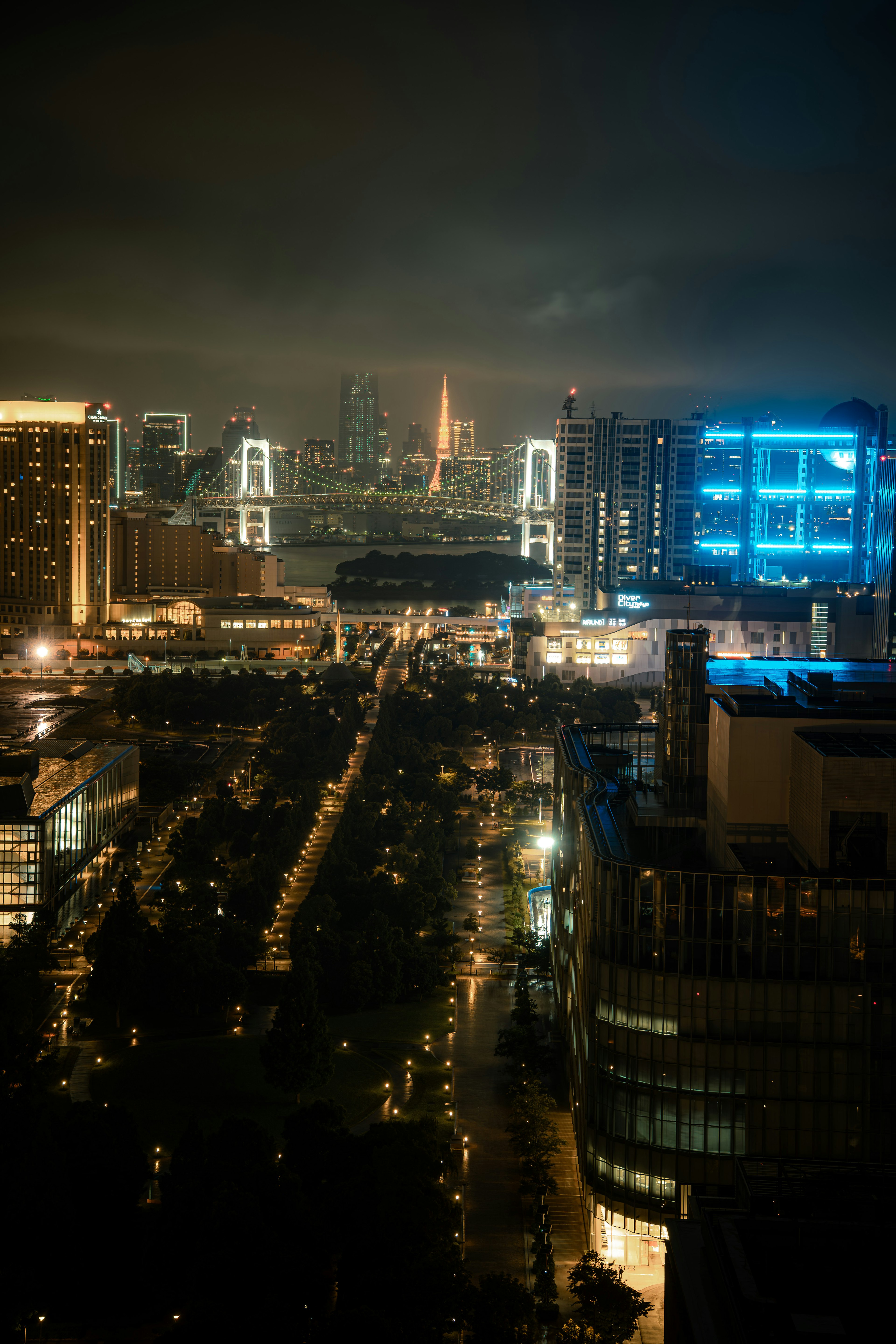 夜の東京の美しい風景 高層ビルとレインボーブリッジが見える