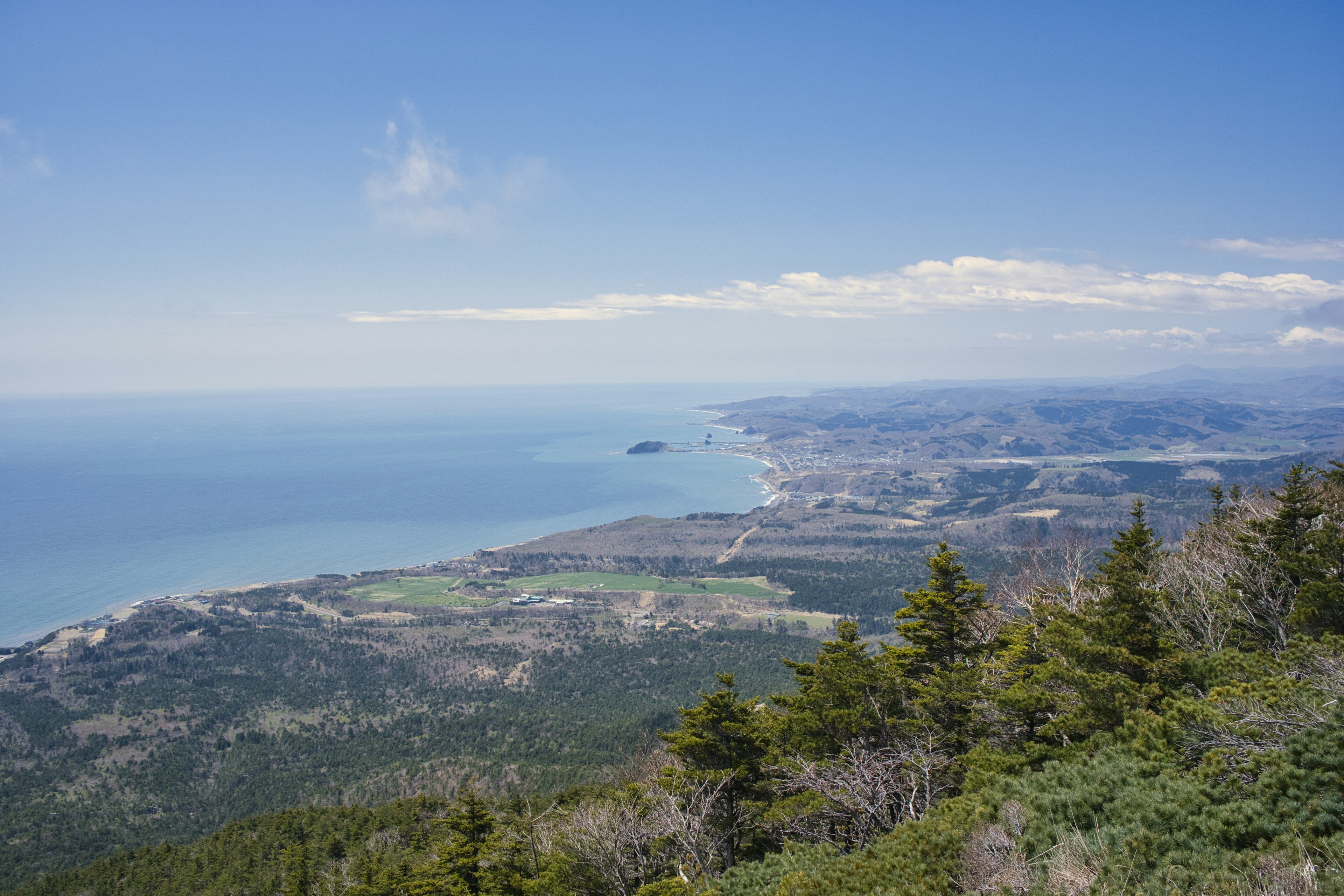 海と山の美しい風景 緑の木々と青い海が広がる