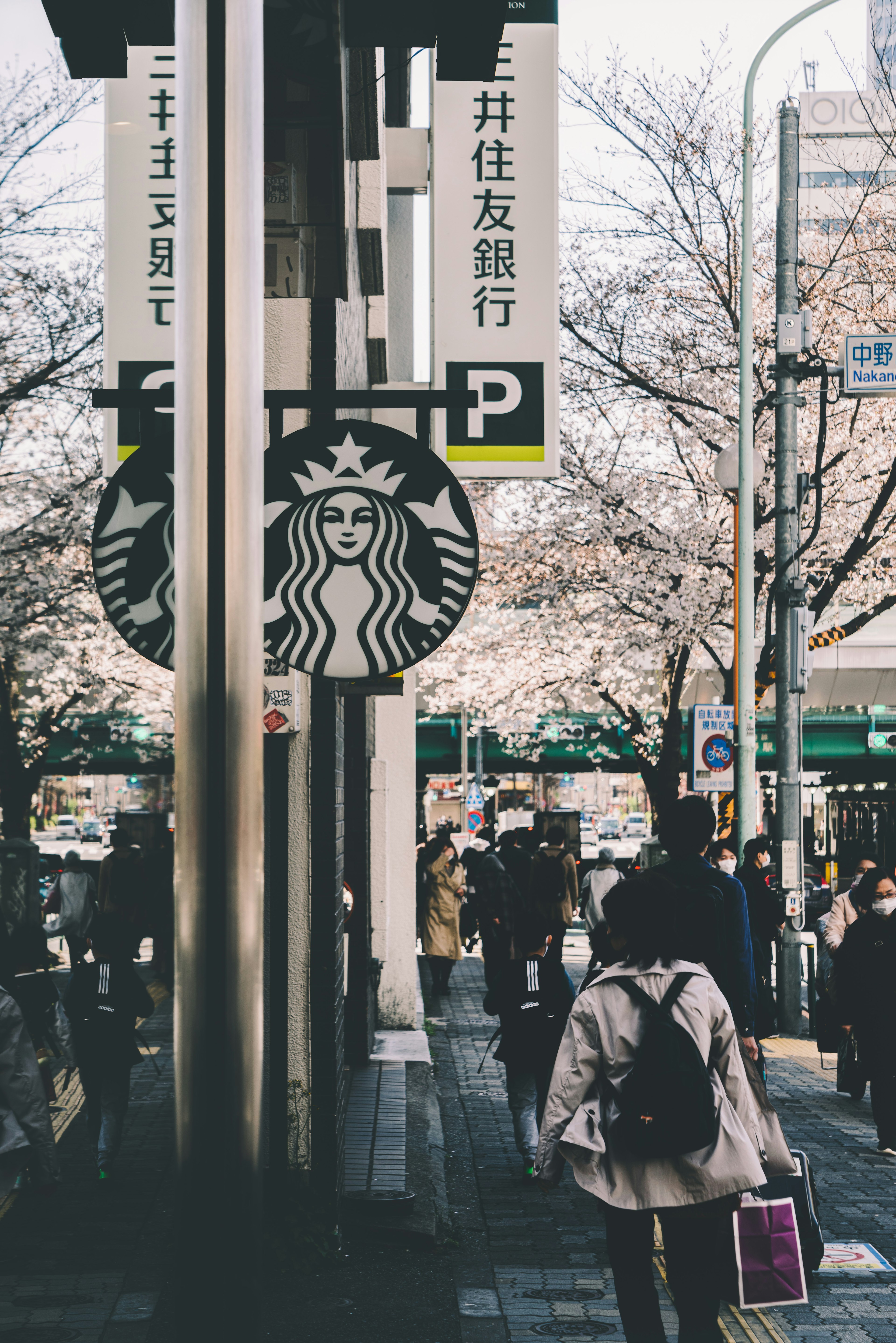 Personas caminando bajo cerezos en flor con un letrero de Starbucks