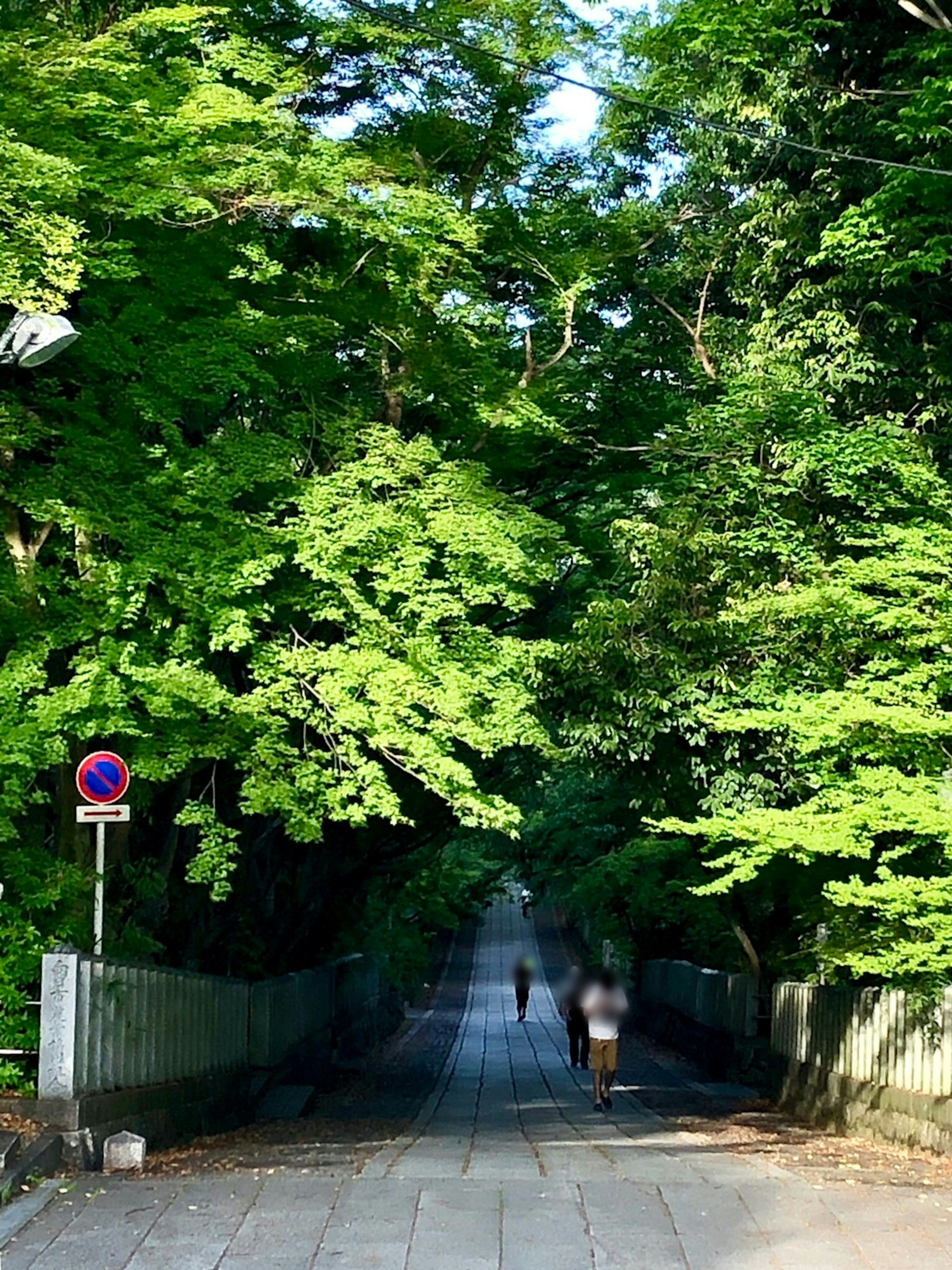 緑豊かな木々に囲まれた静かな道を歩く人々