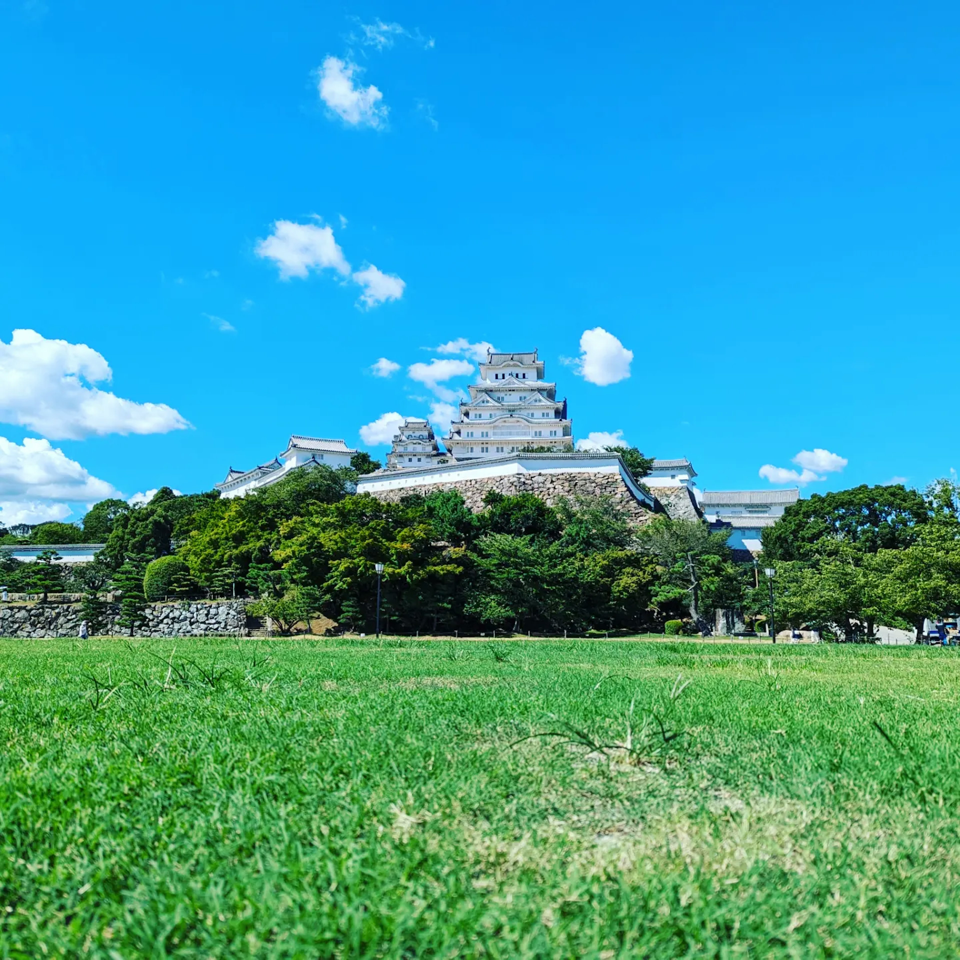 A historic castle set against a bright blue sky and lush green grass