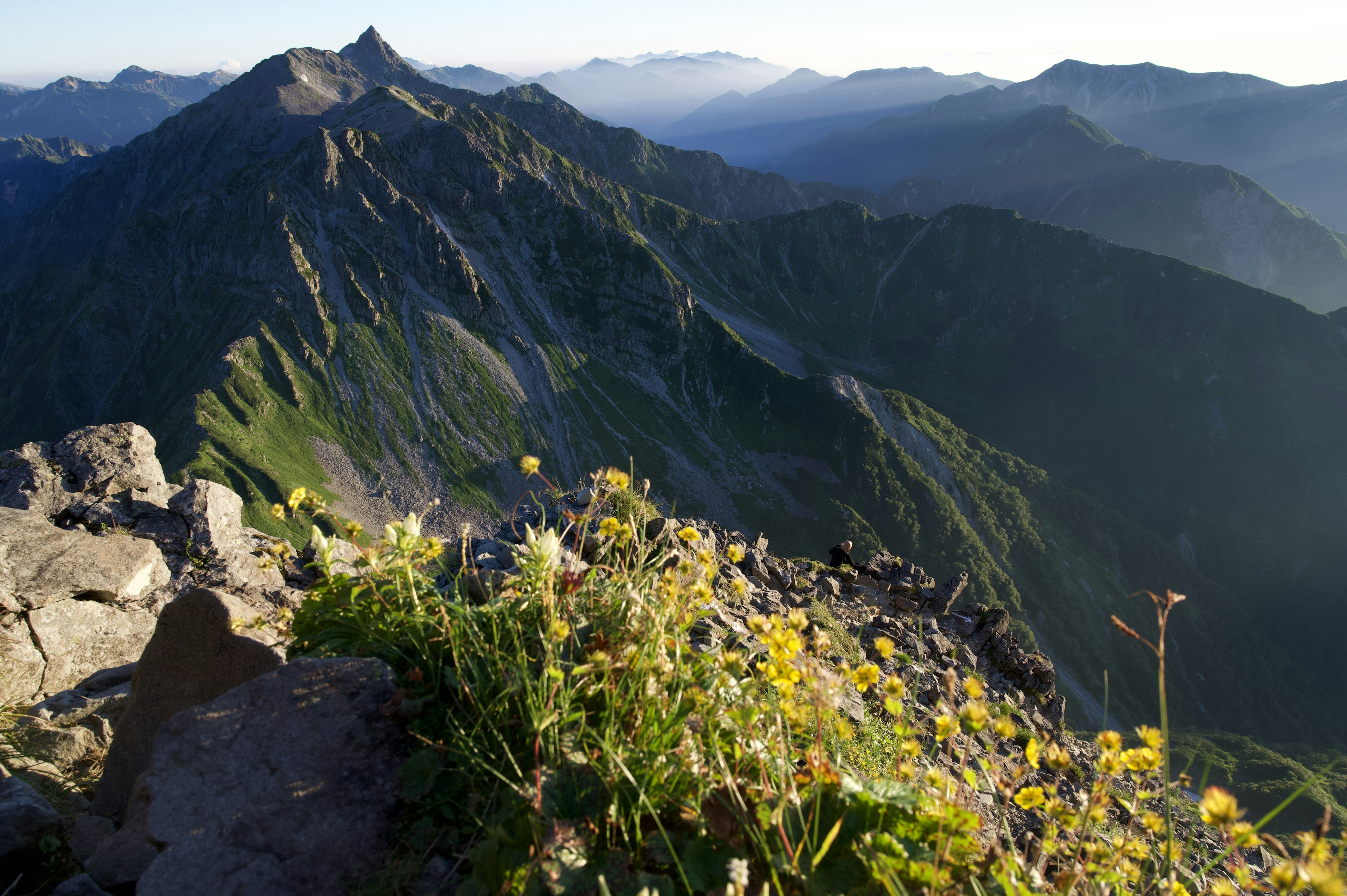 Panoramablick vom Gipfel des Berges lebendige gelbe Blumen blühen zwischen den Felsen grüne Berge erstrecken sich in die Ferne