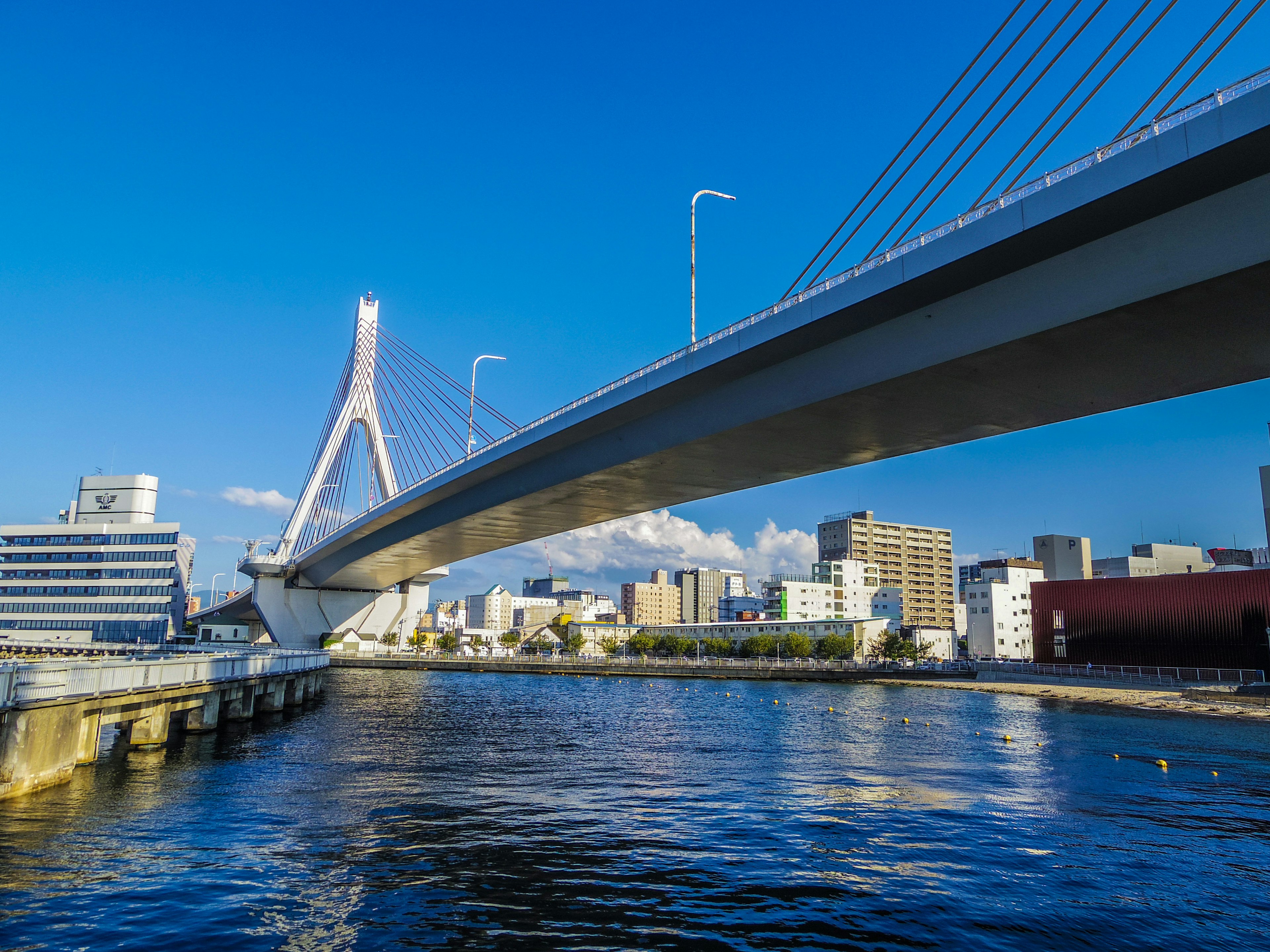 Bella vista di un ponte e di uno skyline urbano sotto un cielo blu