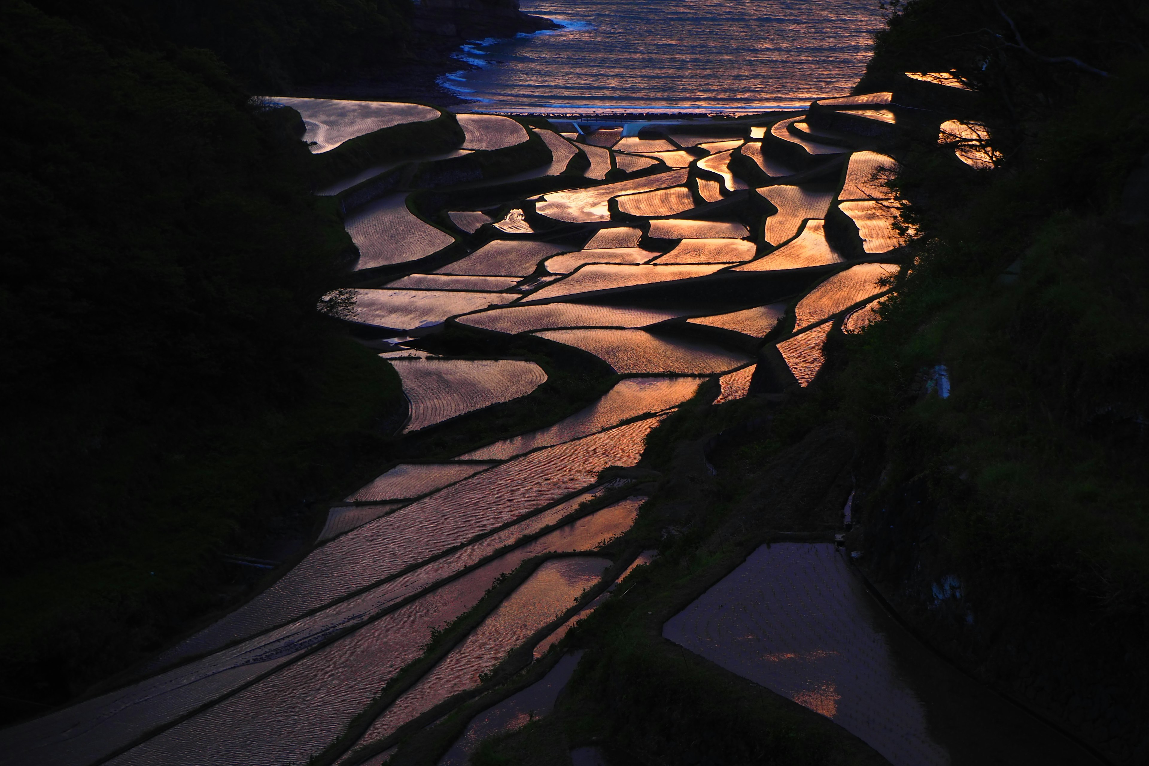 Ladang padi teras yang indah diterangi oleh matahari terbenam