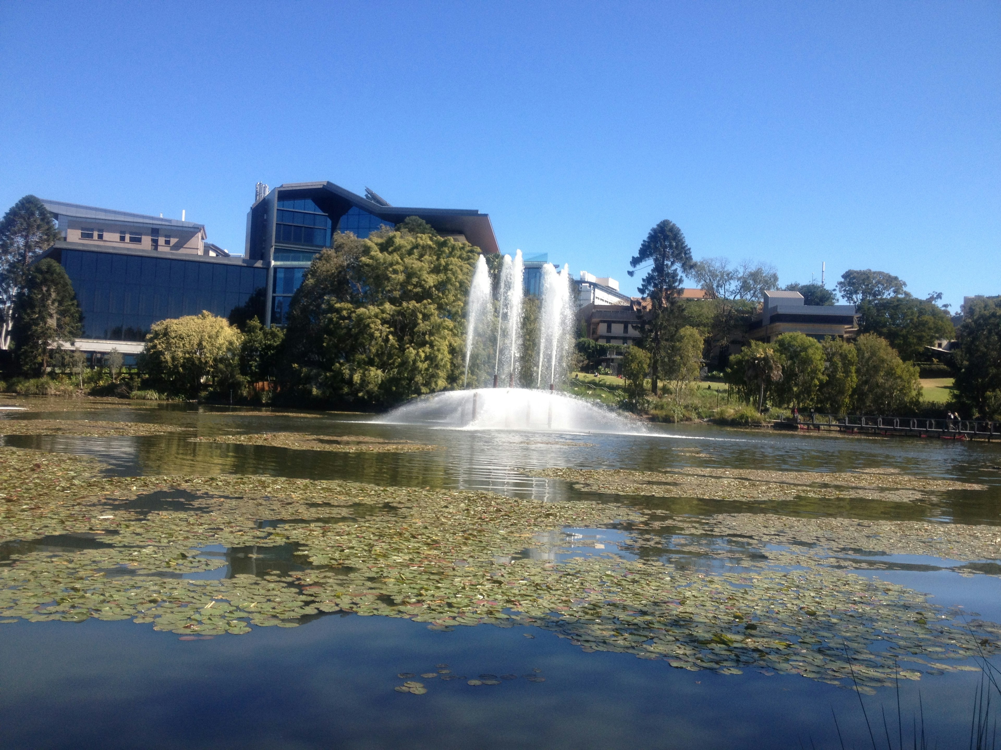 A beautiful fountain in a pond surrounded by green trees and buildings