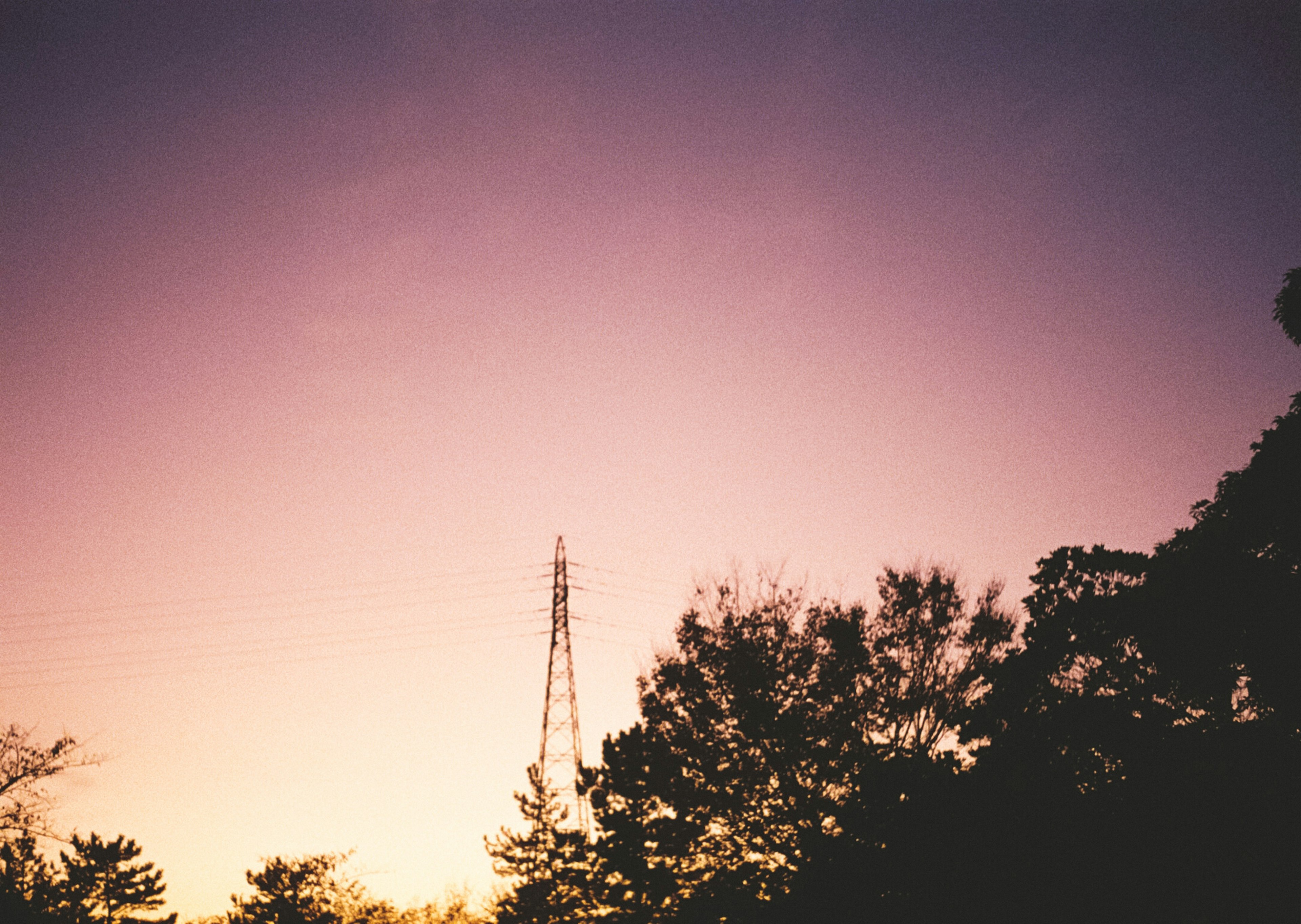 Silhouette of trees against a sunset sky