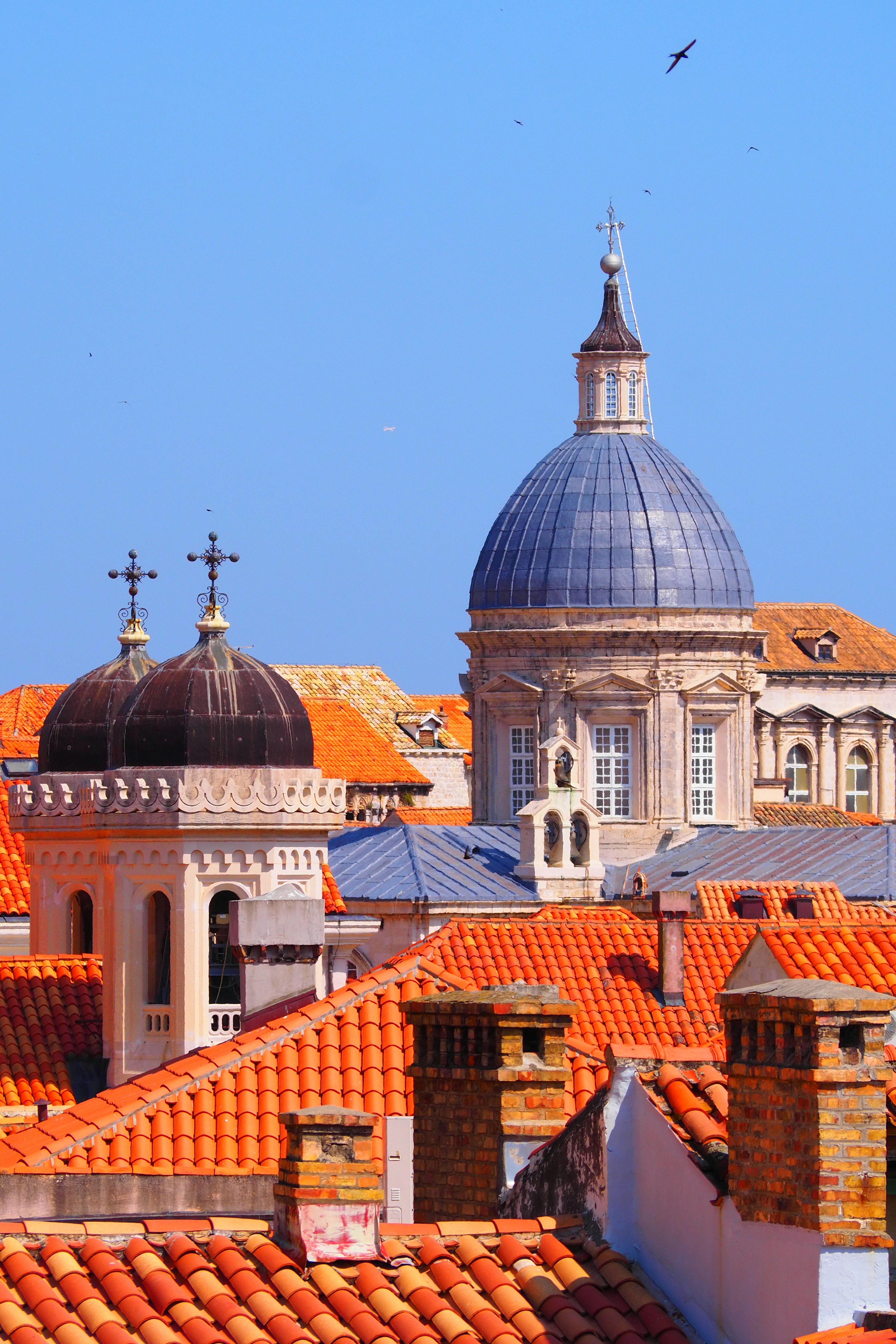 Vue des toits rouges et des belles dômes de Dubrovnik