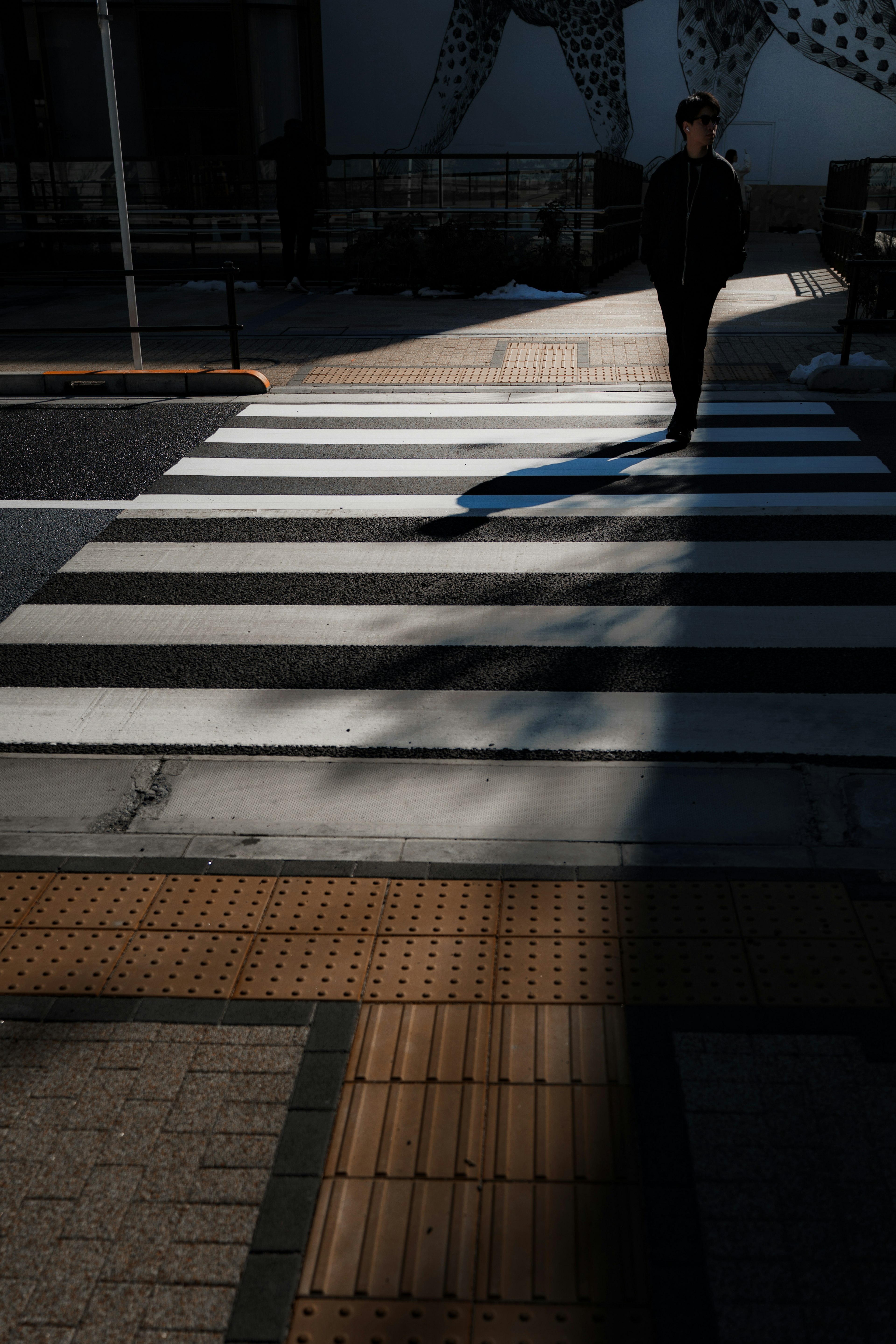 白と黒の横断歩道を歩く人影と影