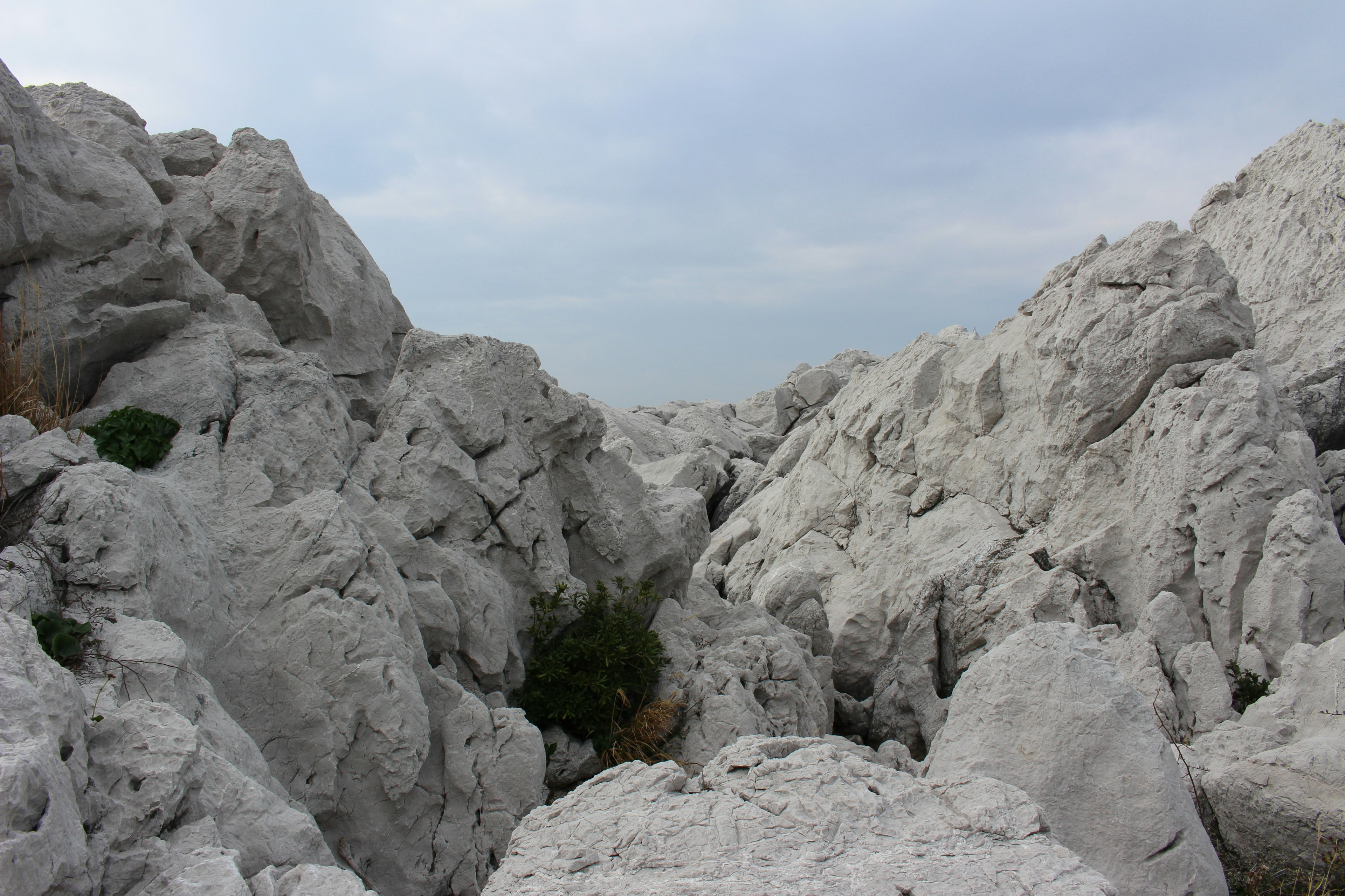 Paisaje con rocas blancas y vegetación verde