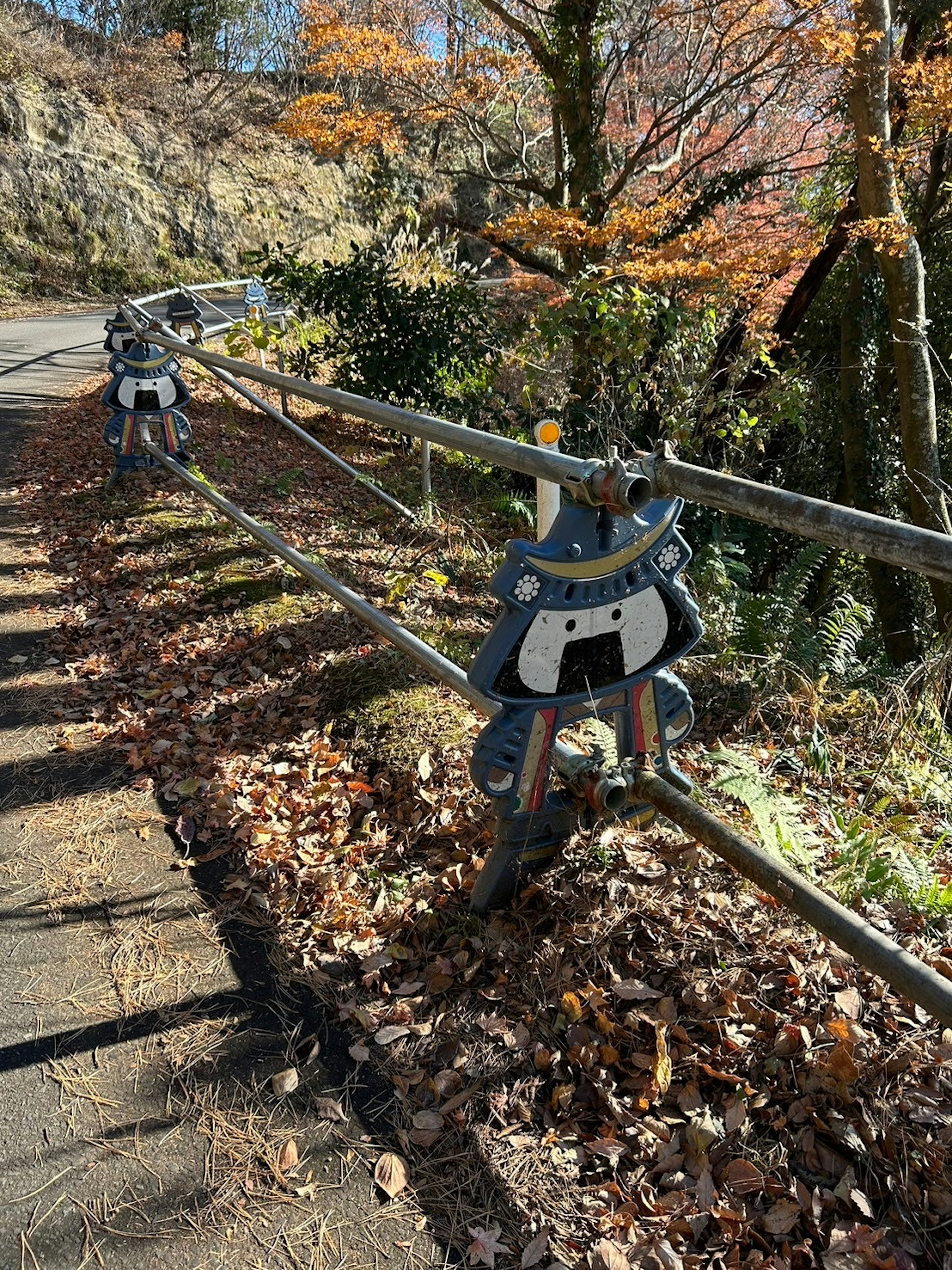 Recinzione in legno colorata lungo un sentiero autunnale