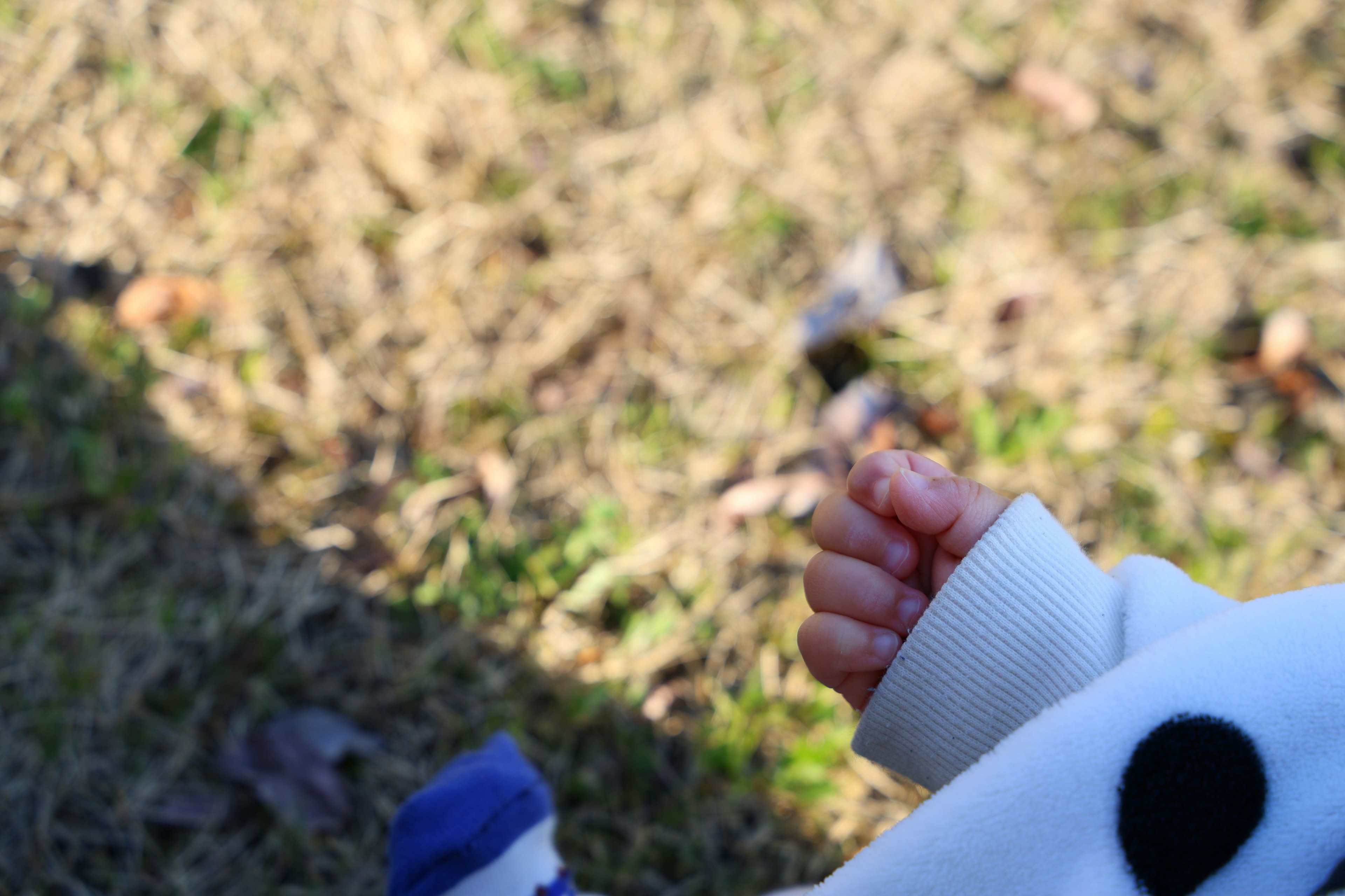 Child's hand resting on grass