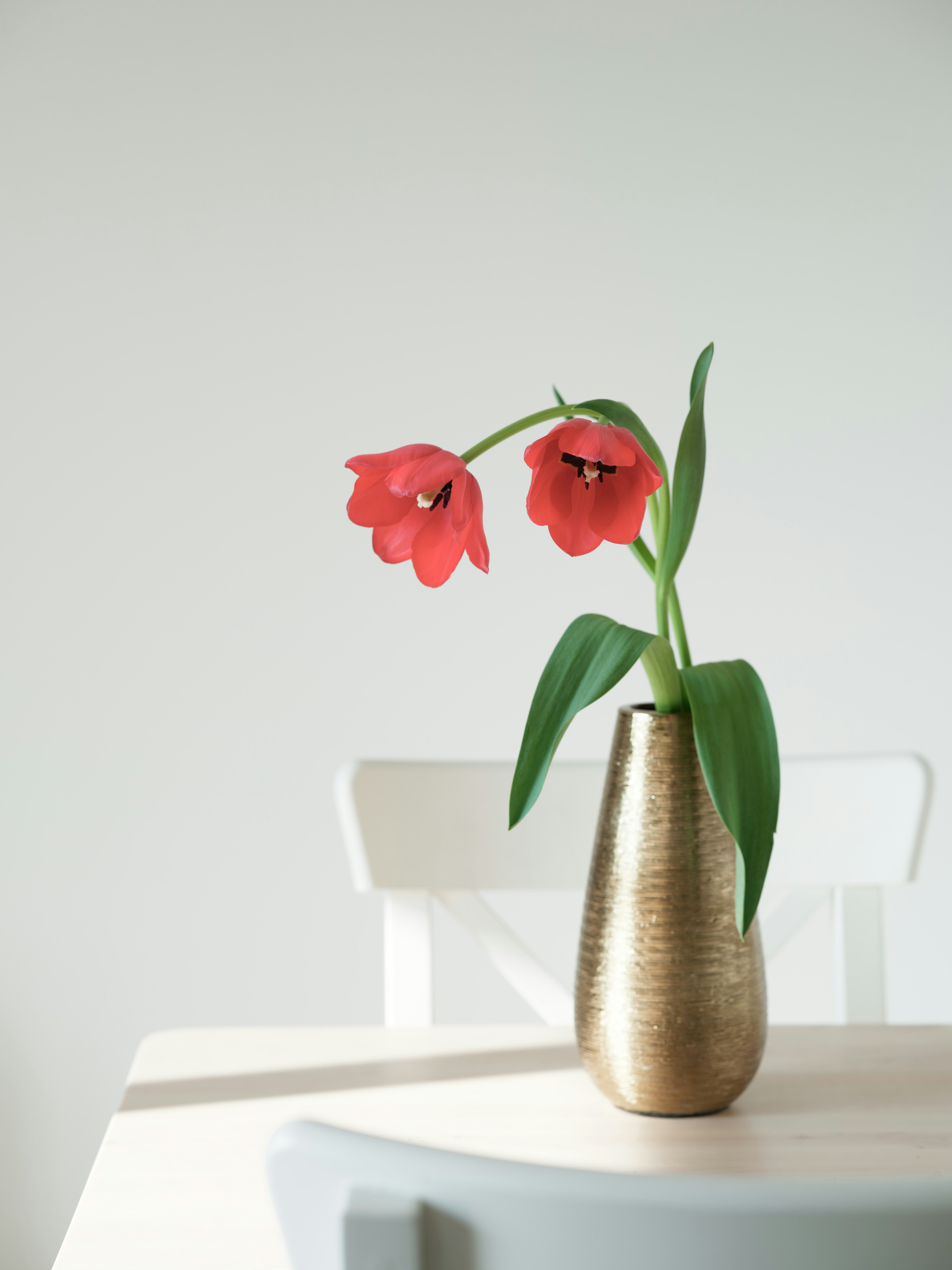 Un interior simple con un jarrón de flores rojas sobre una mesa