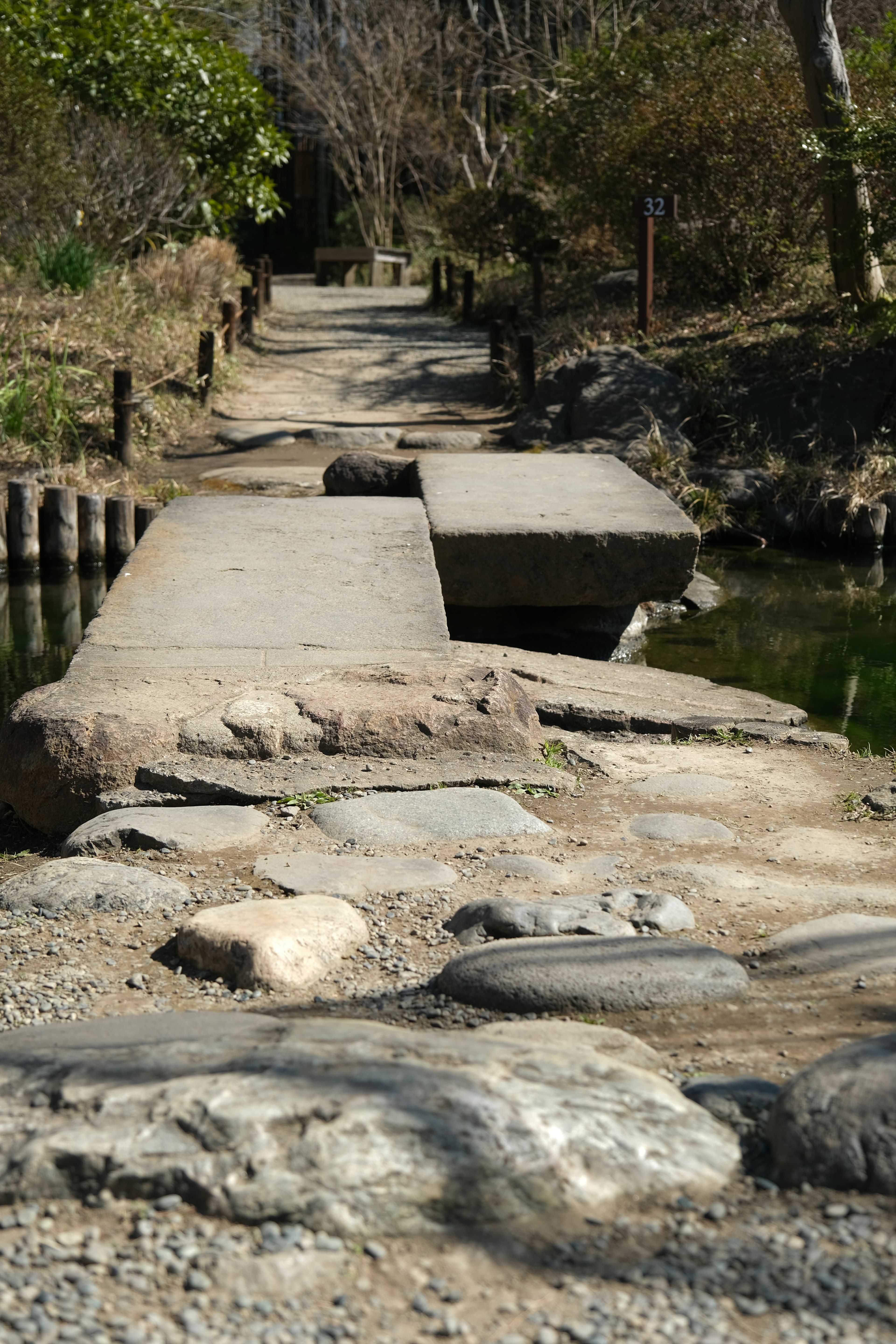 Camino de piedra que conduce a un borde de agua con vegetación