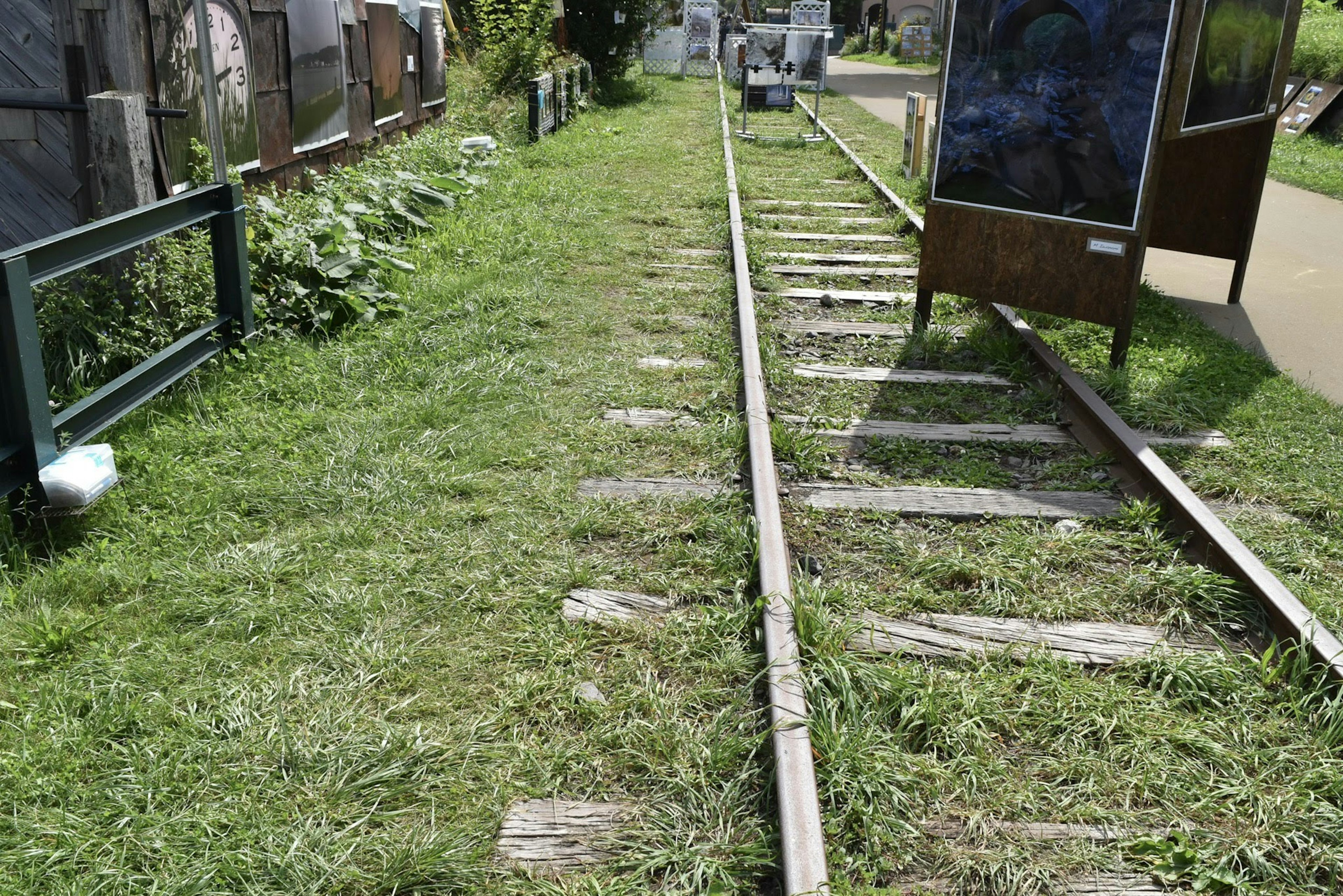 Jalur kereta api yang ditumbuhi rumput dan pemandangan sekitar