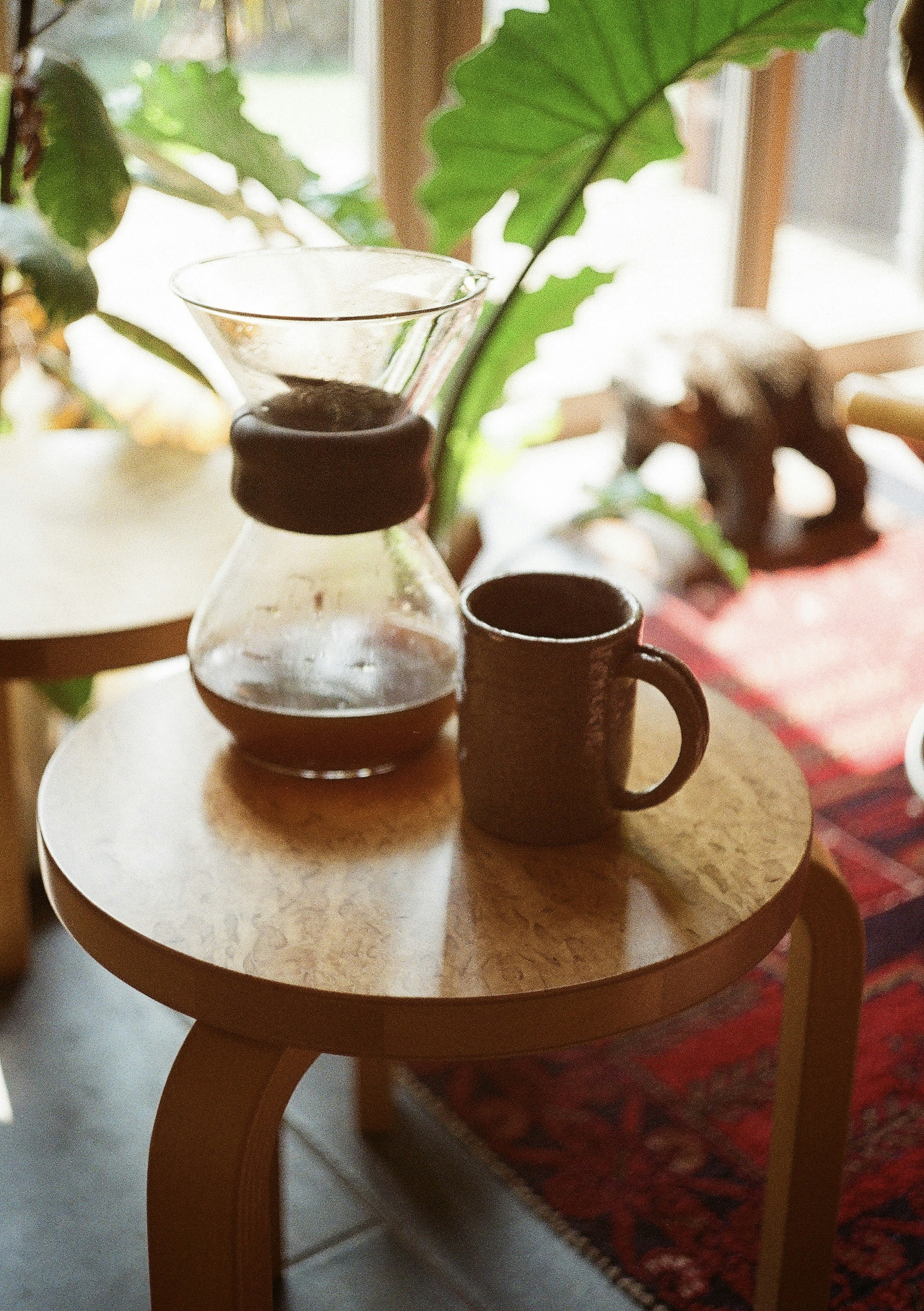 Un servidor de café y una taza colocados sobre una mesa de madera con una planta al fondo