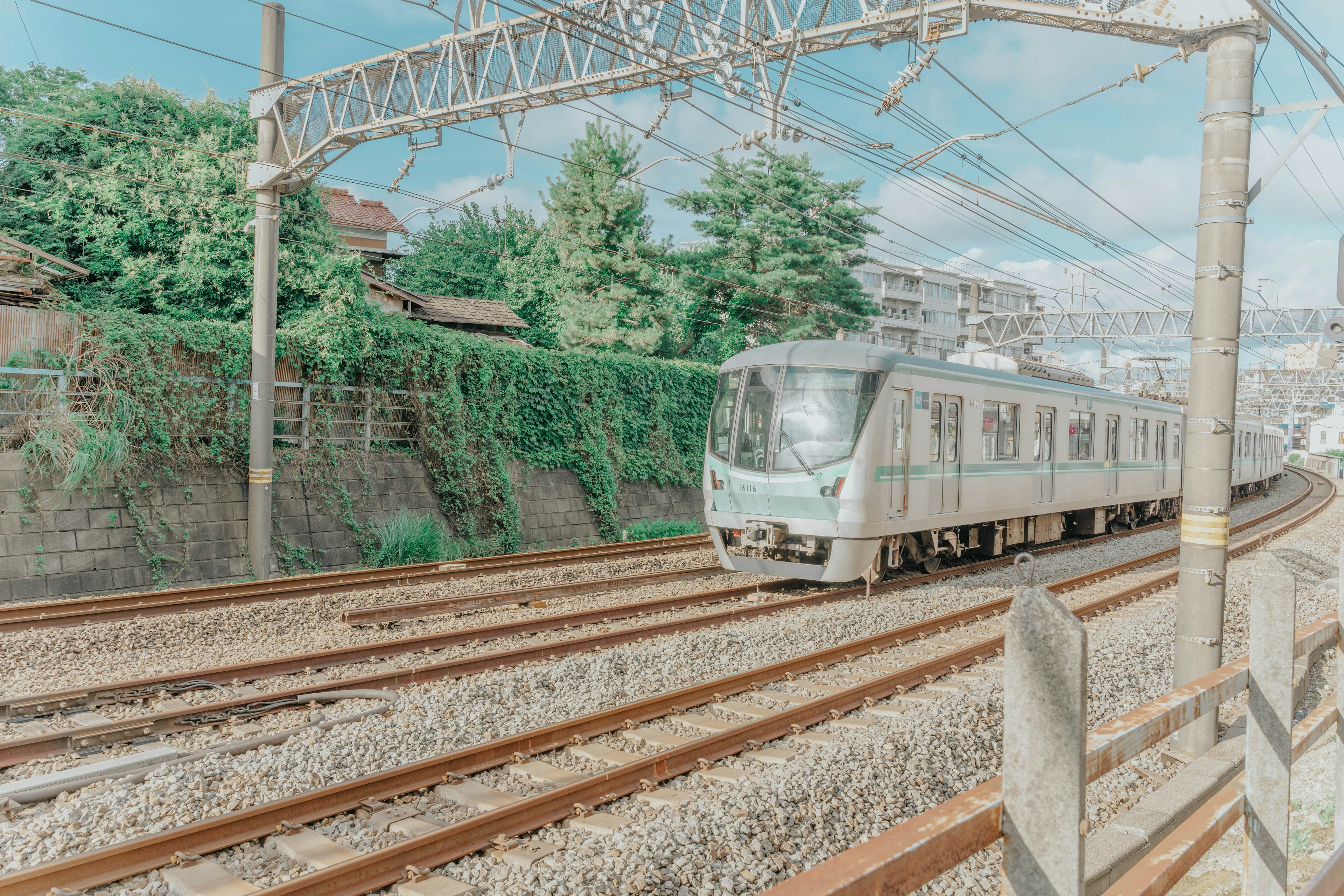 Zug, der auf Eisenbahnschienen mit üppigem Grün und blauem Himmel fährt