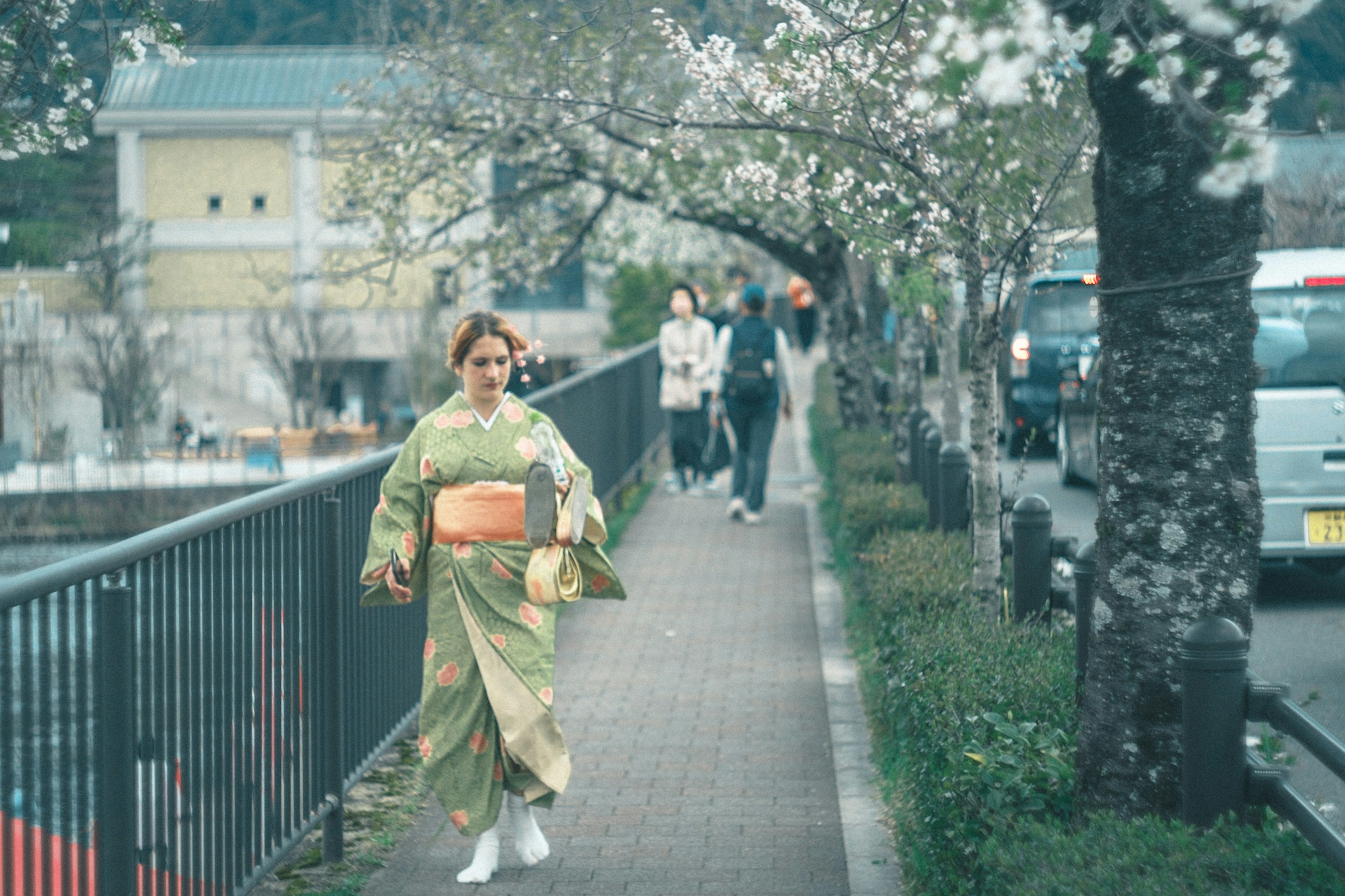 Eine Frau im Kimono geht unter Kirschblütenbäumen