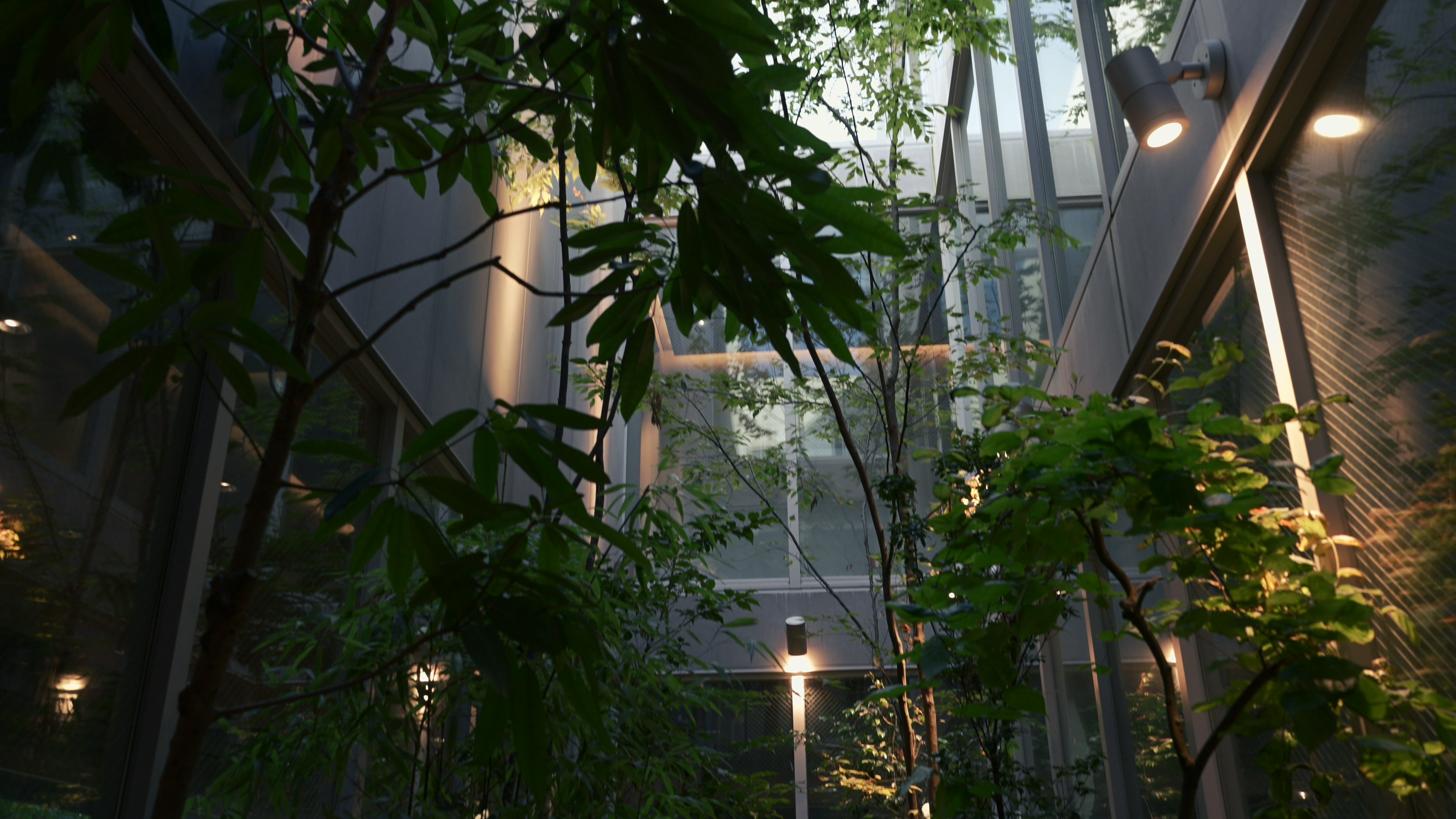 Vue intérieure d'un jardin luxuriant entouré de murs en verre