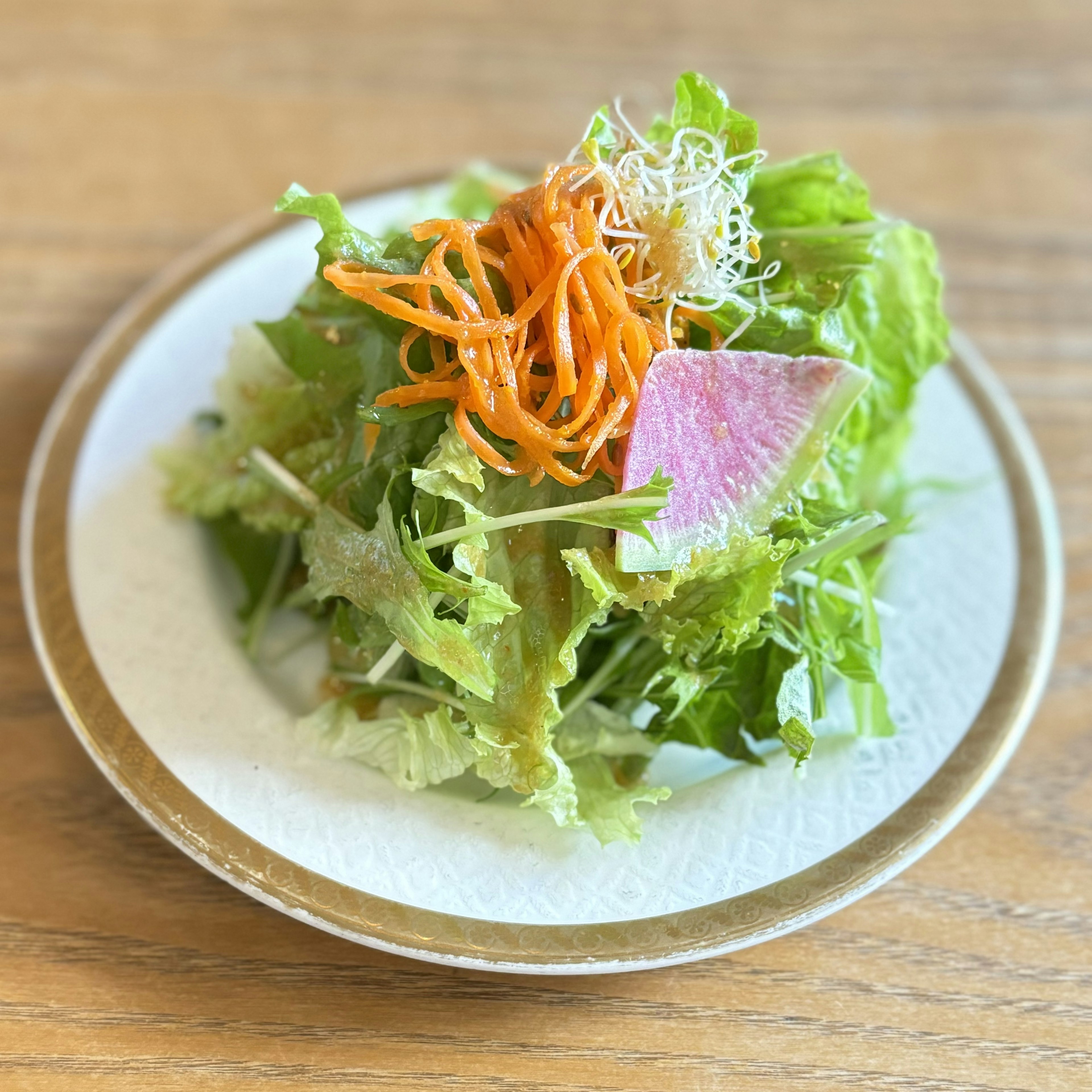 新鮮なサラダ盛り付け、緑色の葉野菜、オレンジの人参、ピンクの大根、白いもやし