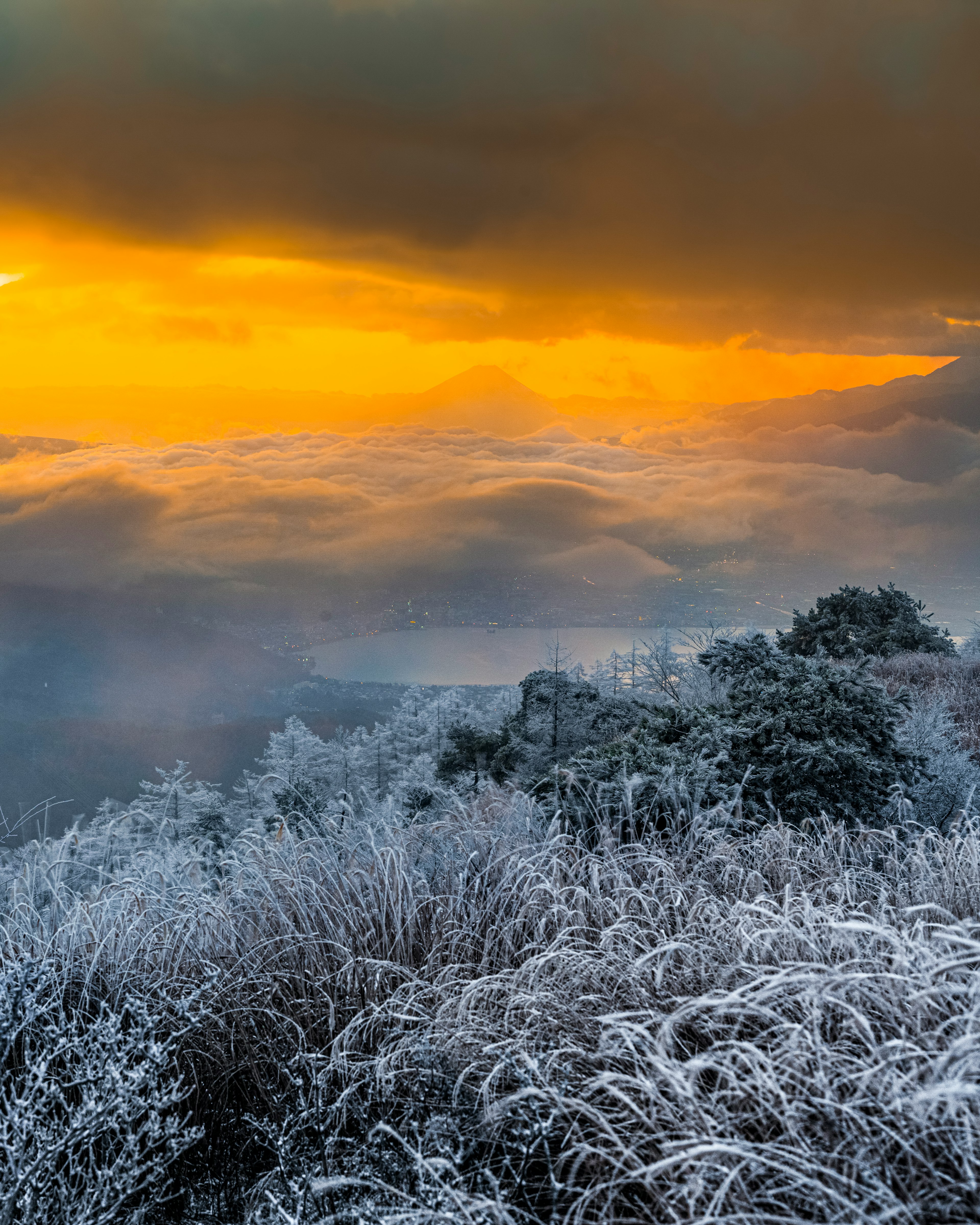 Frostbedeckte Wiese mit orangefarbenem Sonnenuntergang