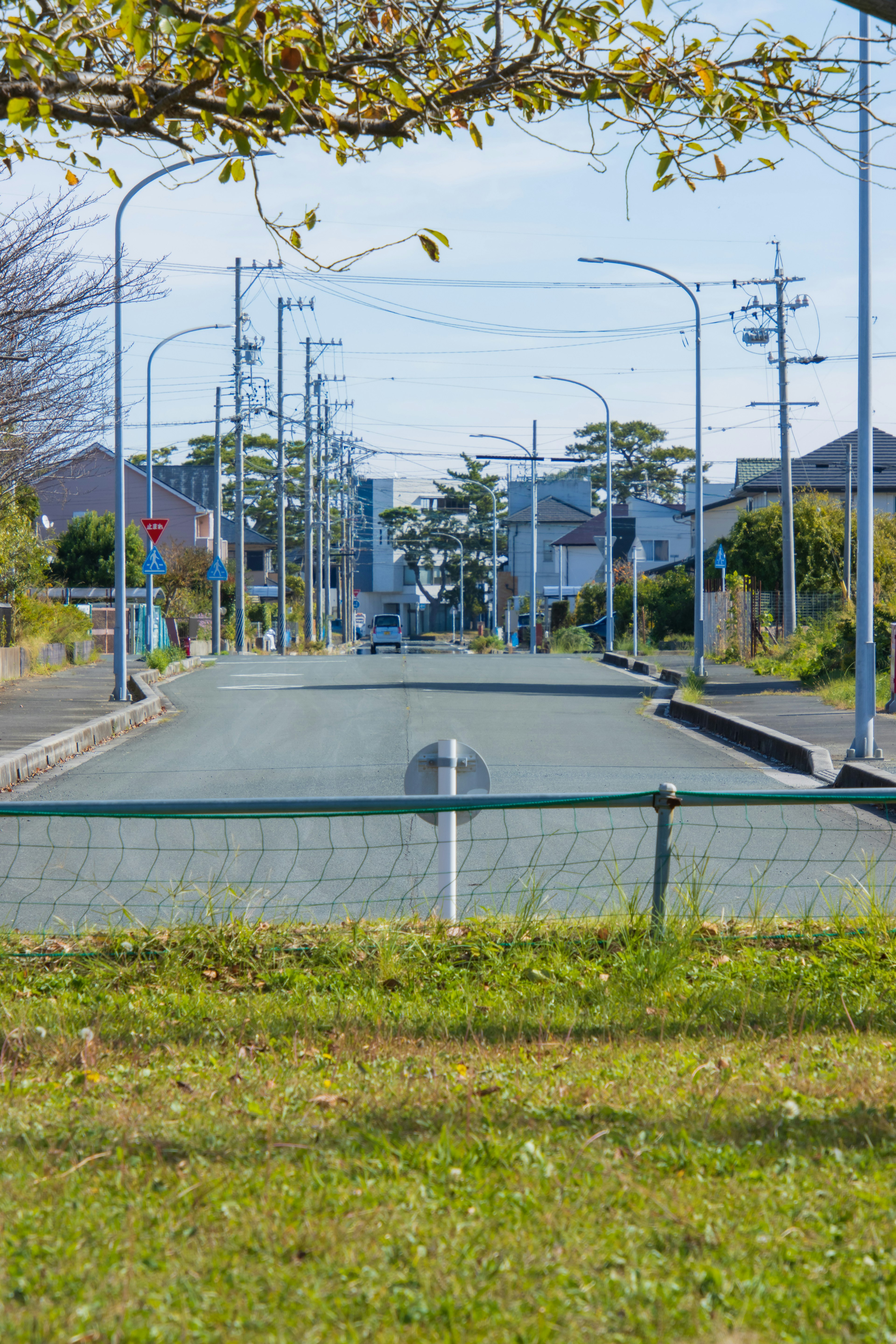 Ruhige Straßenszene in einem Wohngebiet mit grünem Gras und Straßenlaternen