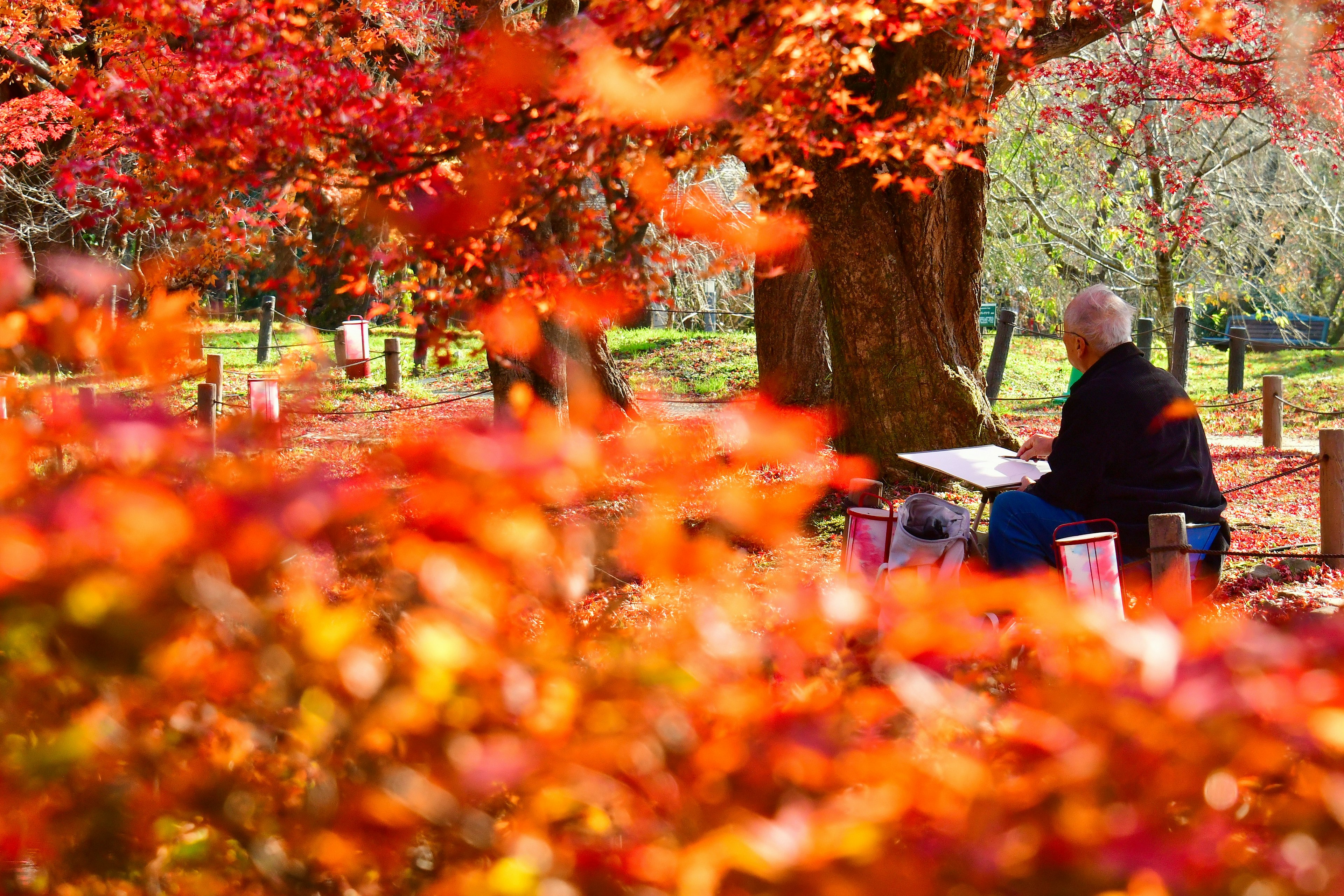 Personne peignant parmi des feuilles d'automne vibrantes