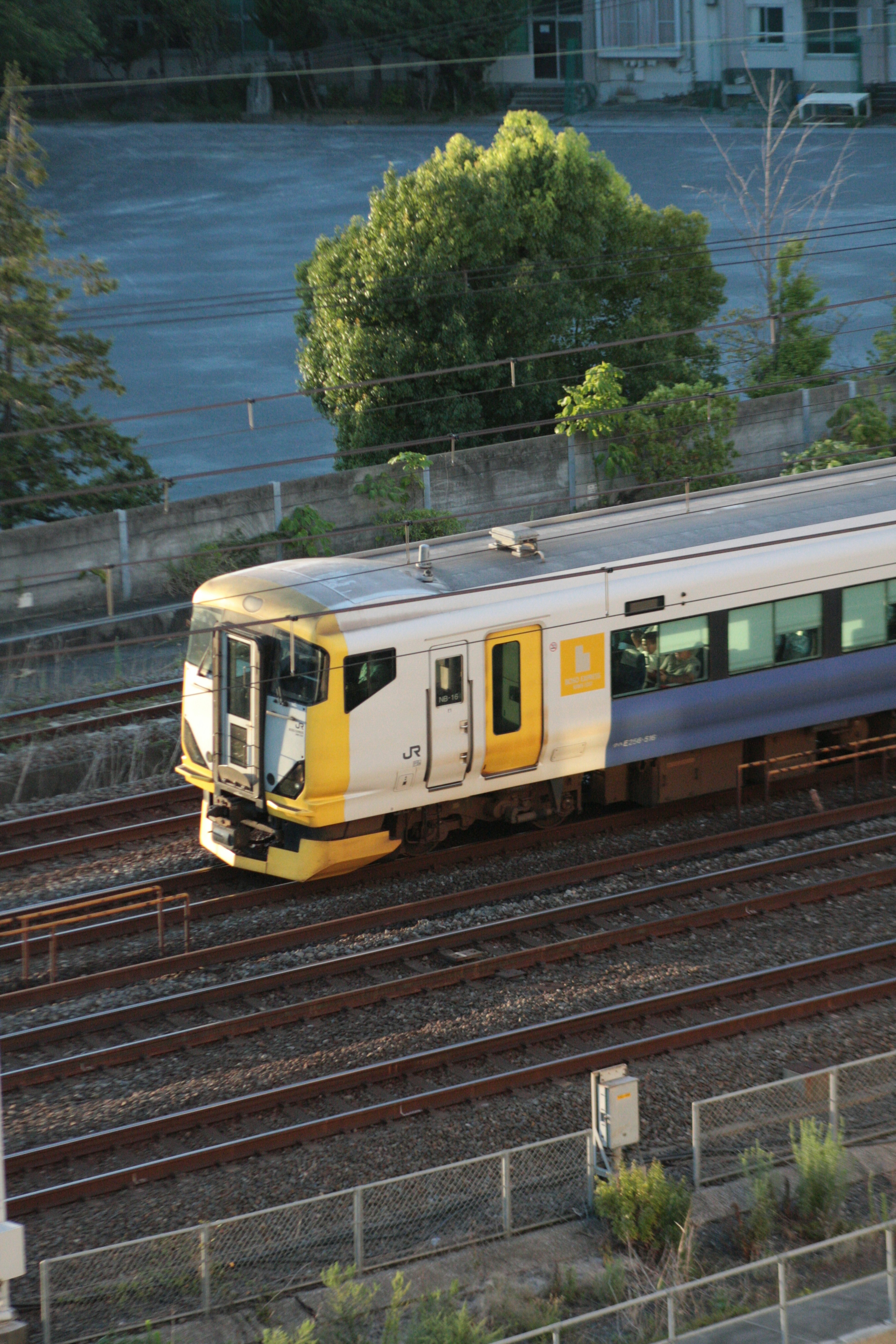 鉄道の車両がレール上を走っている様子と緑の木々