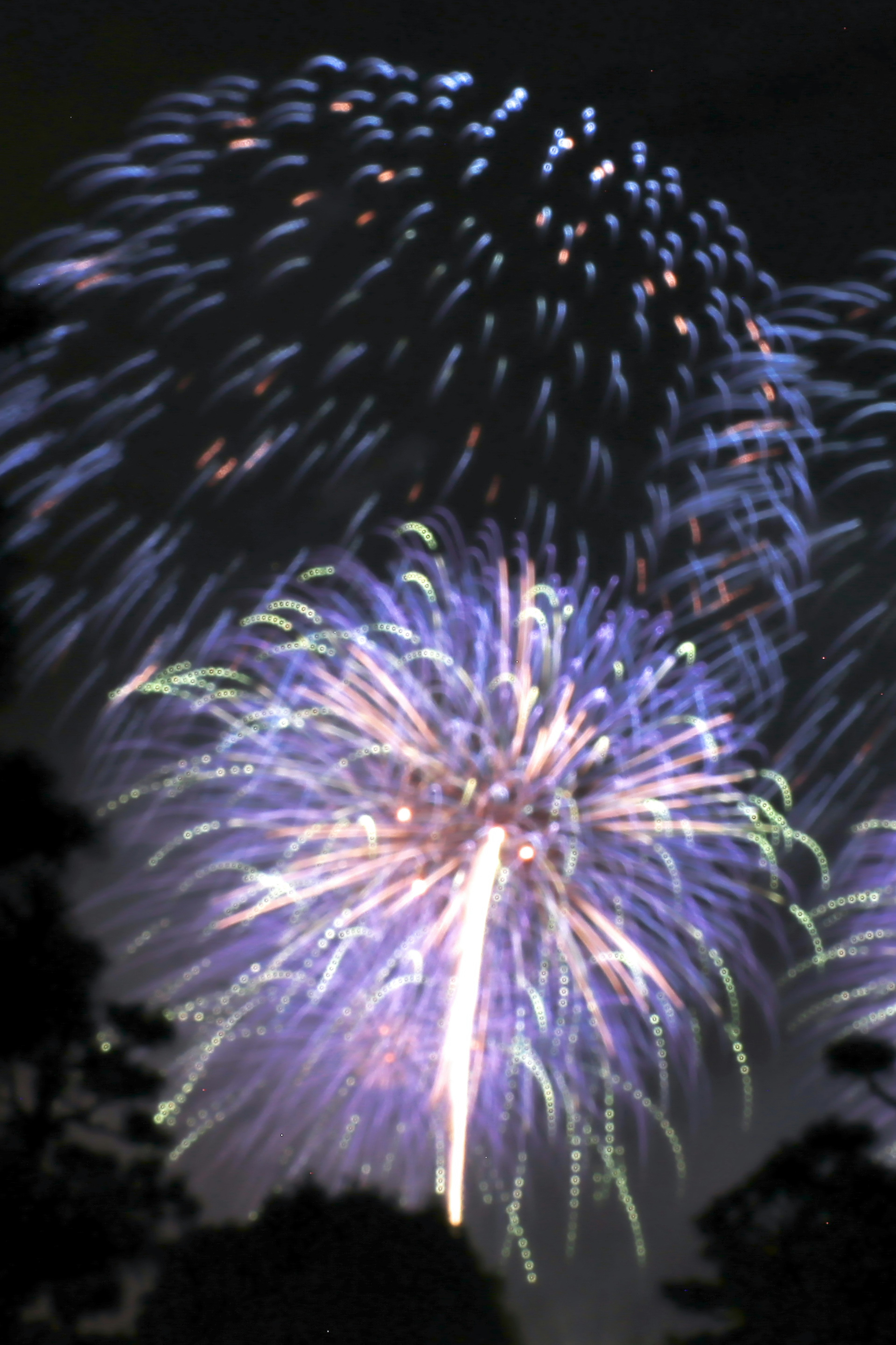 夜空に広がる青紫の花火の爆発