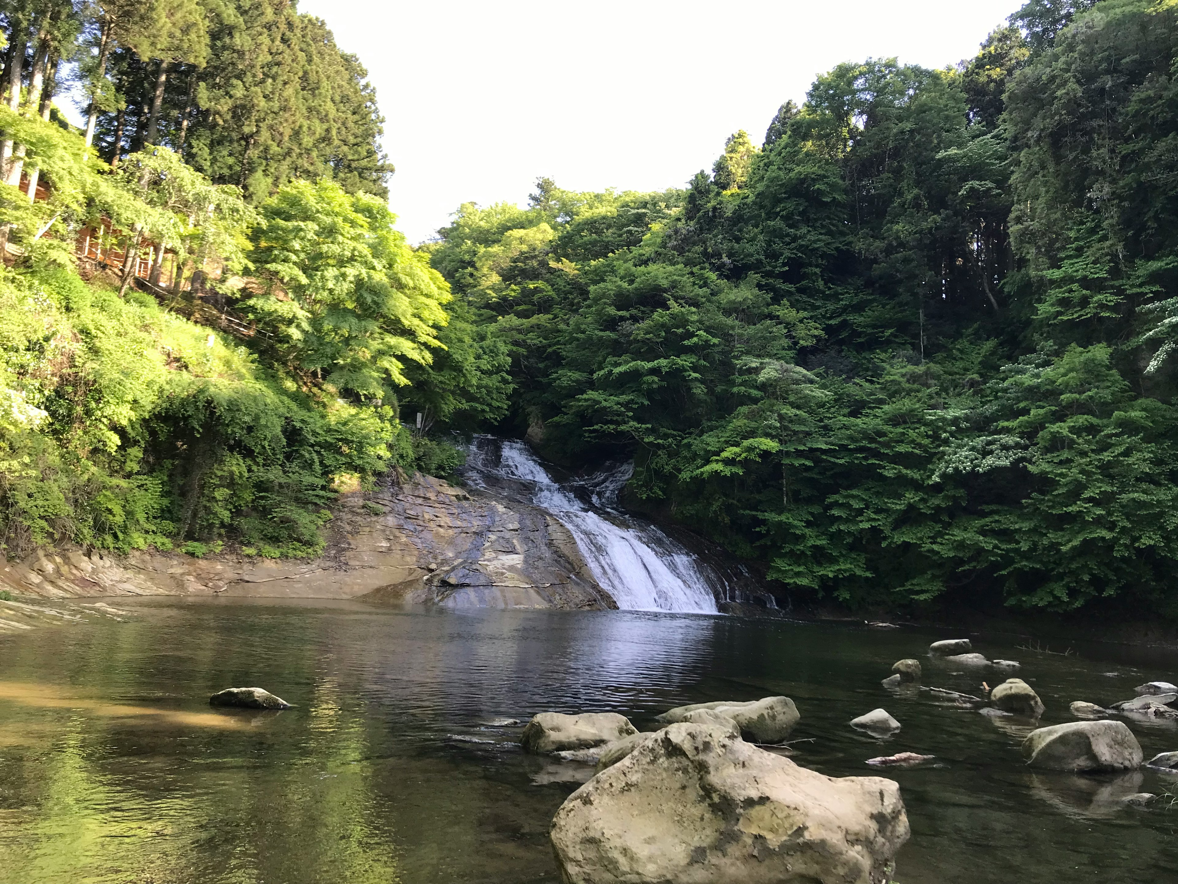 緑豊かな森林に囲まれた静かな滝の風景