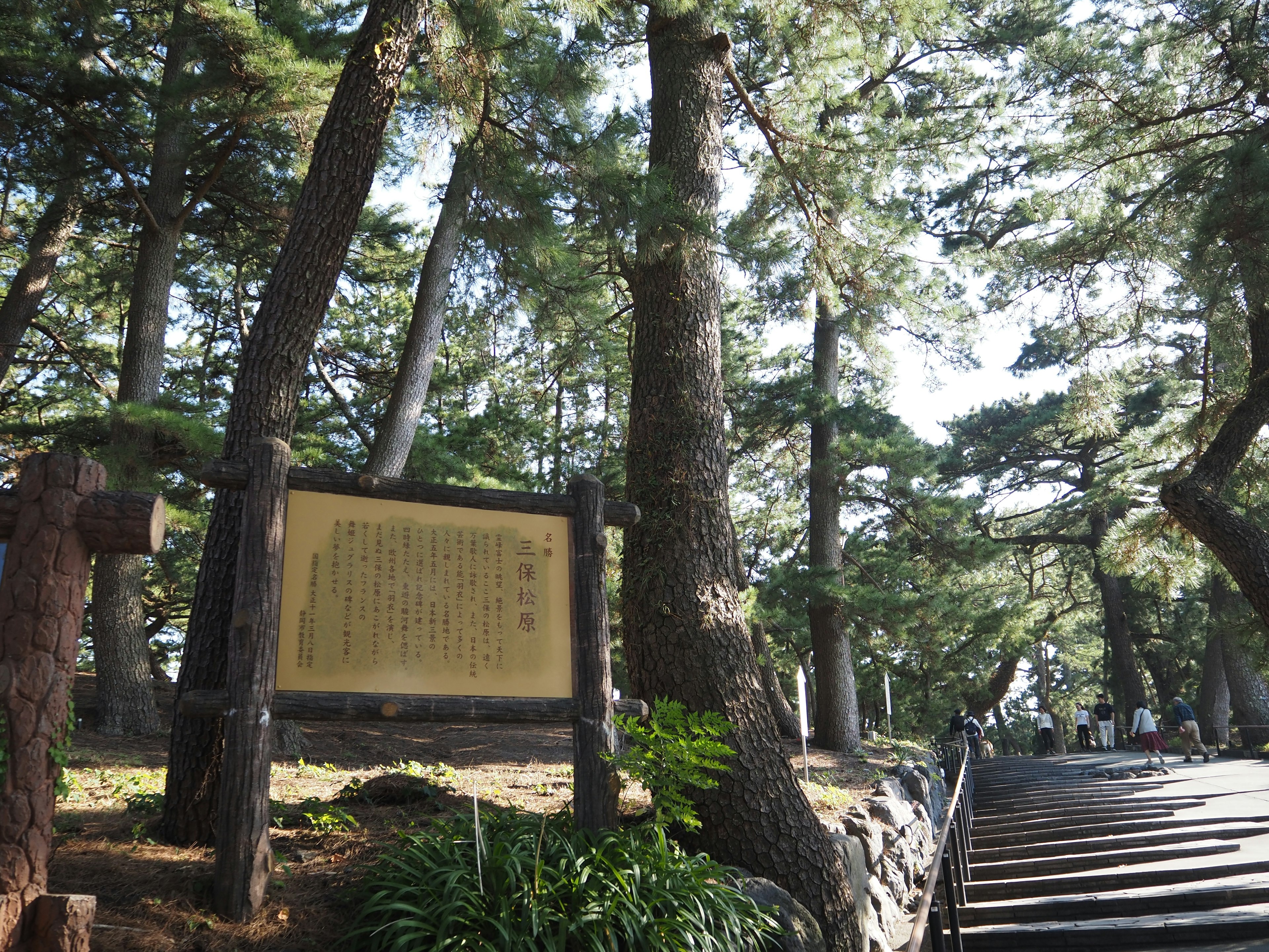 木々に囲まれた階段と解説板の風景