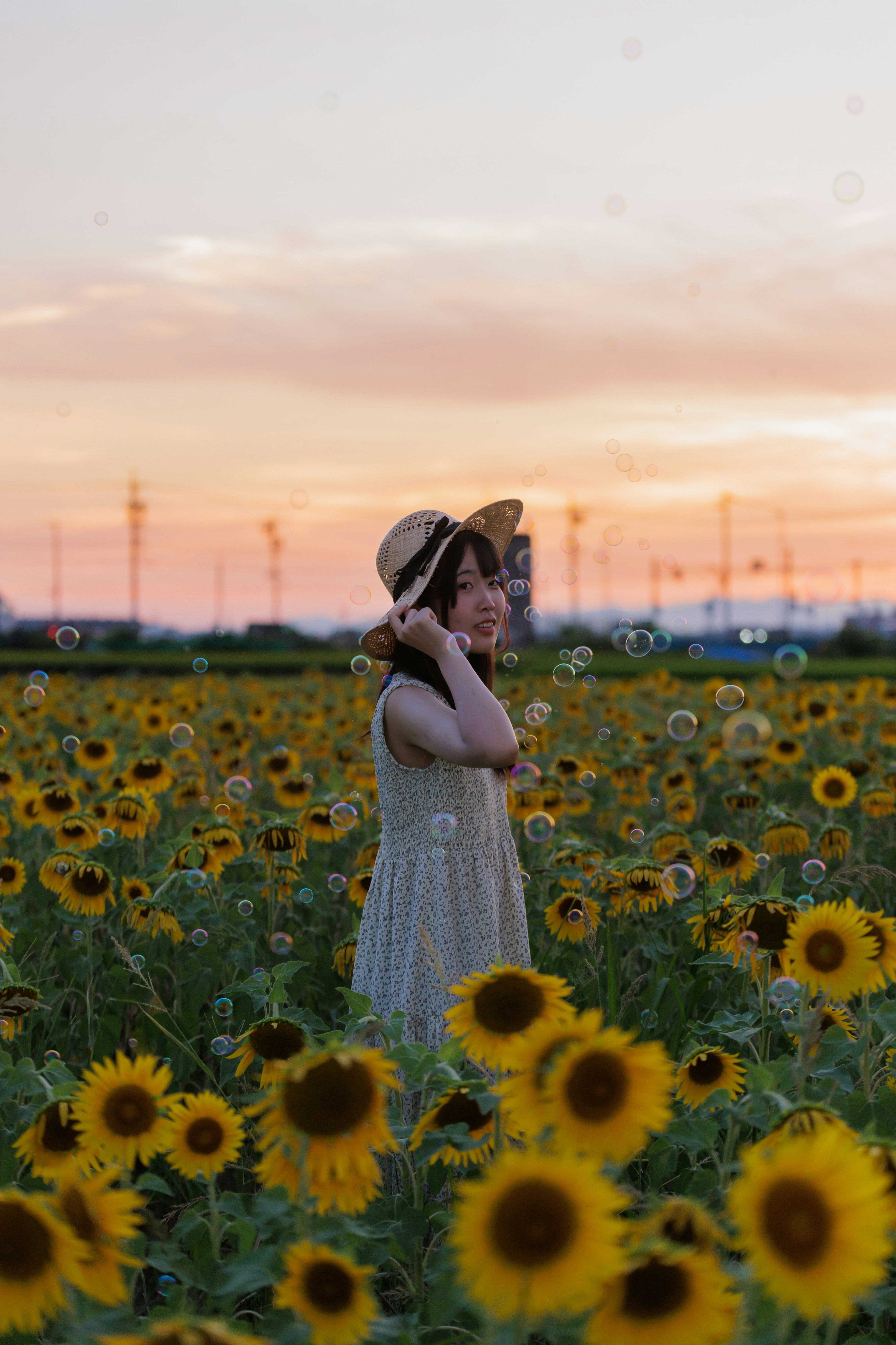 ひまわり畑に立つ女性の後ろ姿と夕焼けの空