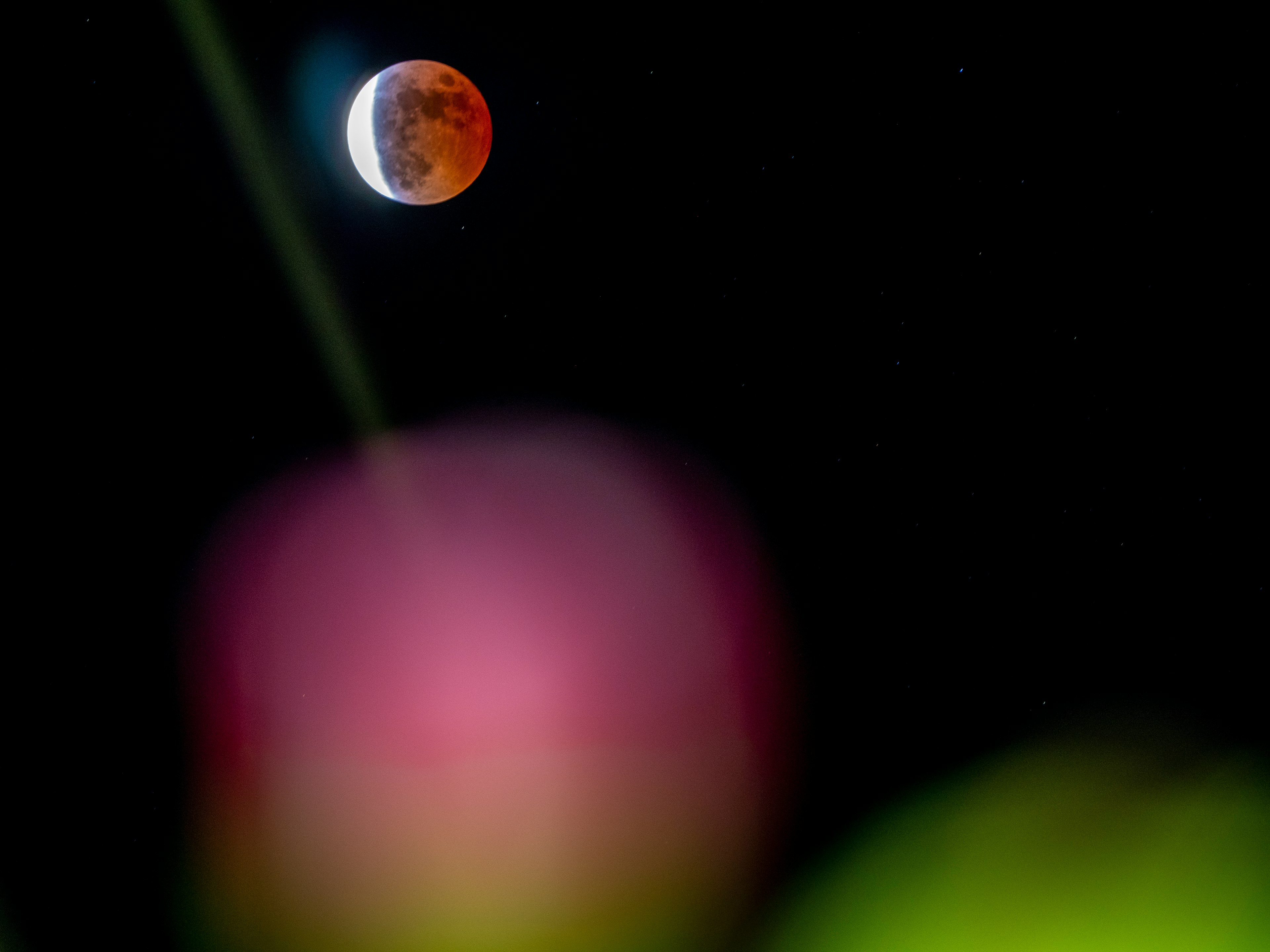 Rote Mond mit verschwommener Blume im Vordergrund am Nachthimmel