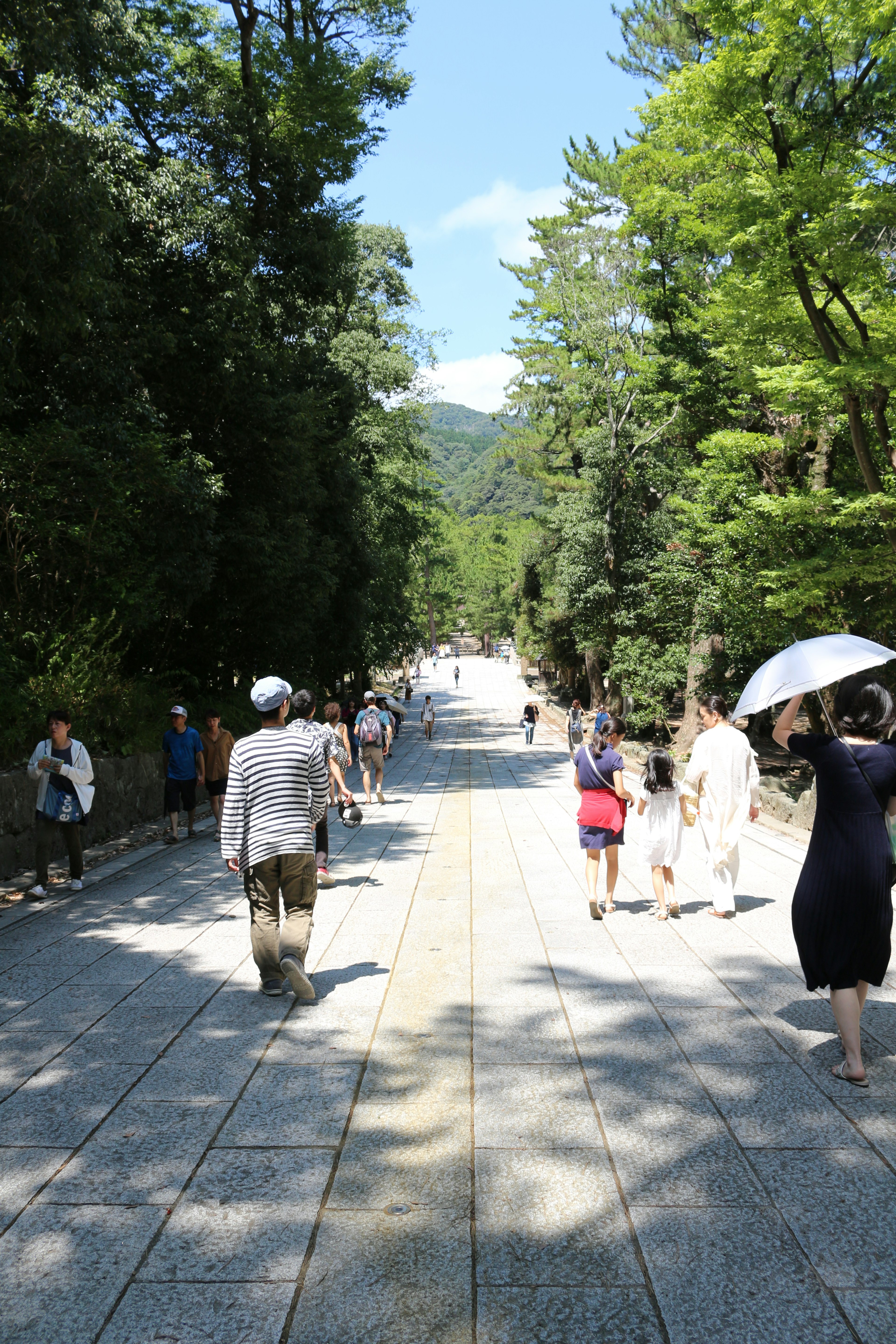 Des touristes marchant sur un chemin bordé d'arbres avec des vêtements traditionnels