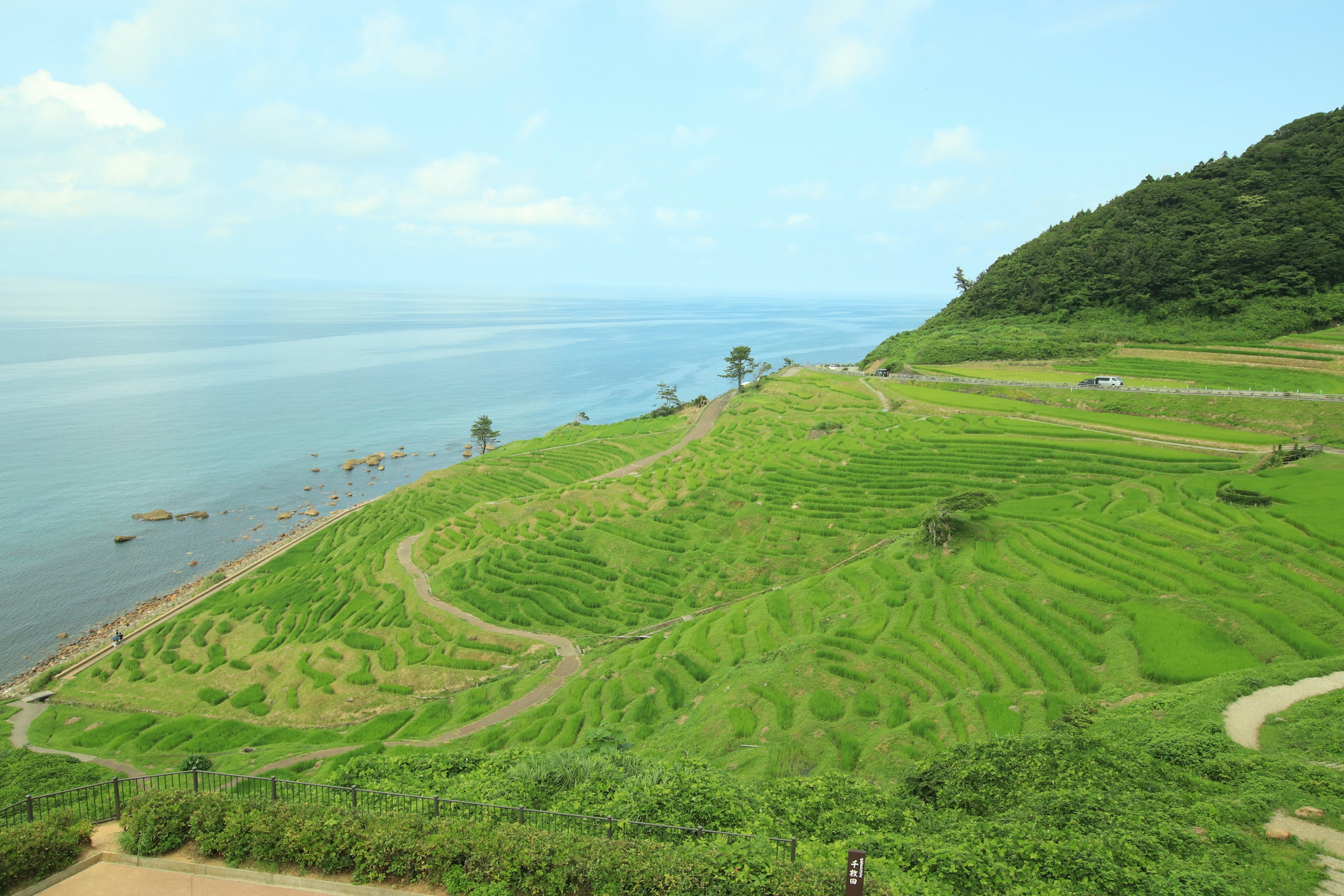 Vista escénica de terrazas de arroz verdes junto al océano azul