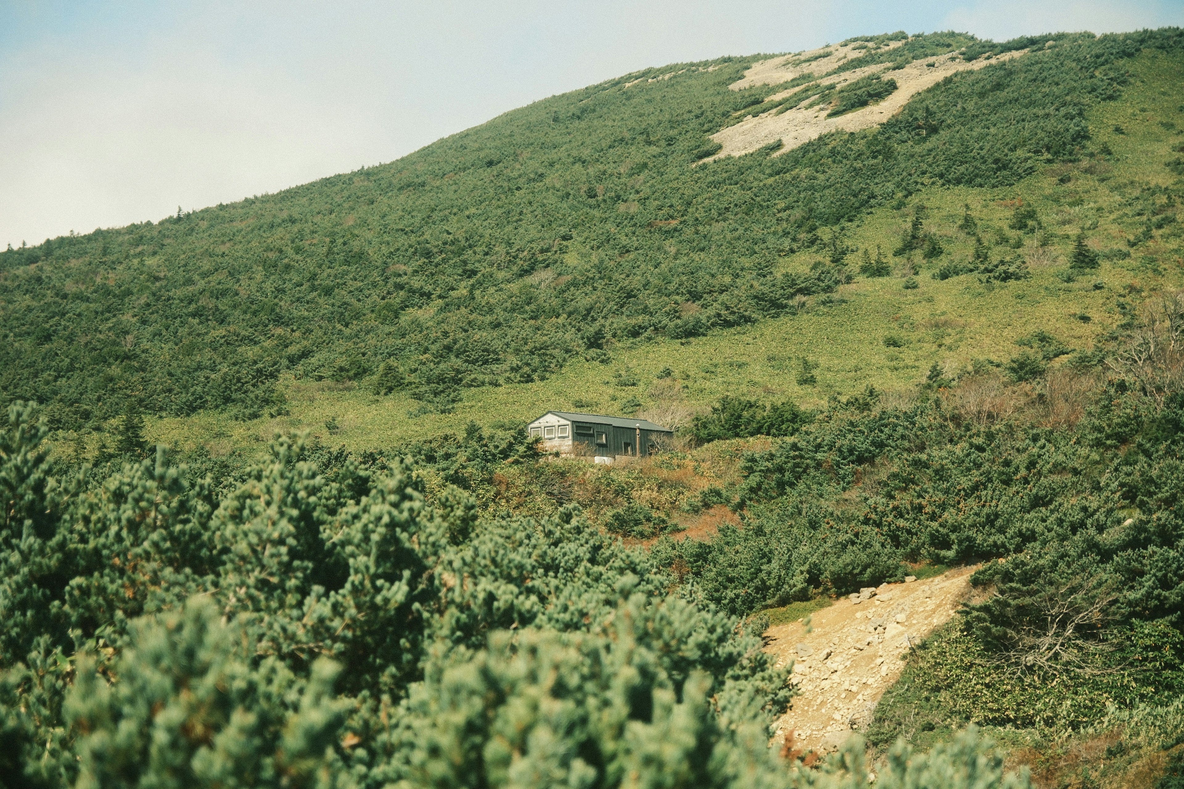 緑の丘と小さな建物がある風景