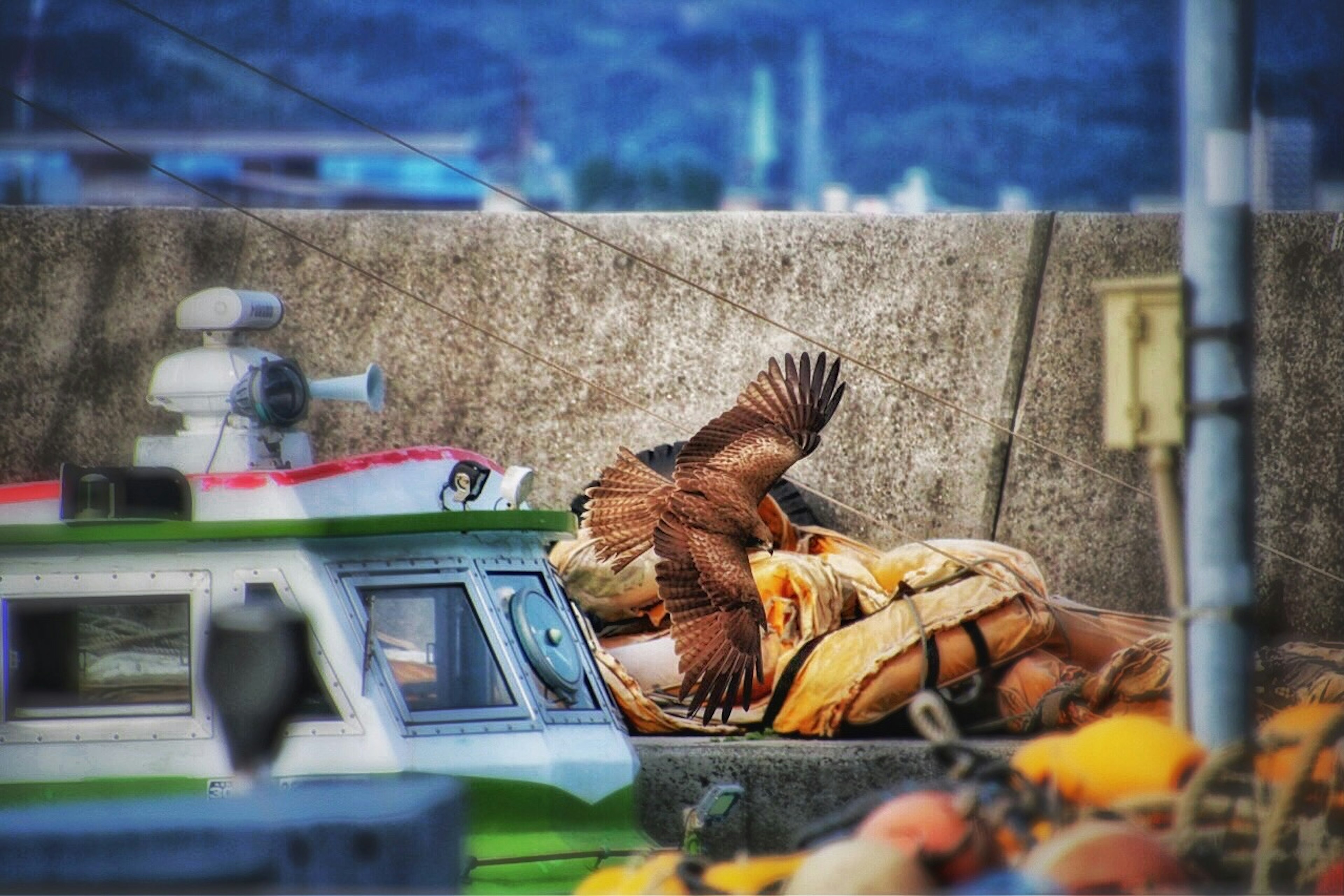 Kapal berlabuh di pelabuhan dengan burung bertengger di atasnya